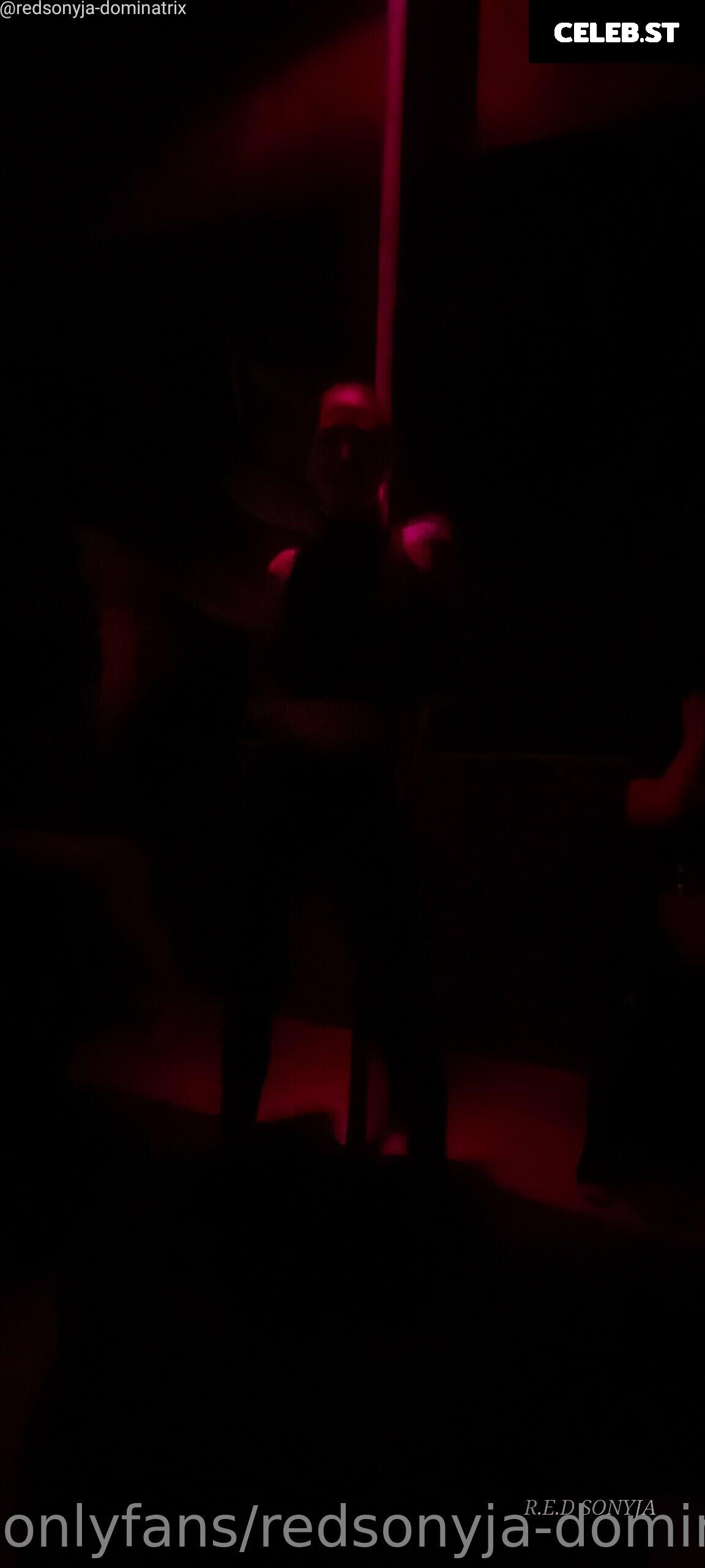 redsonyja-dominatrix Image 22229429