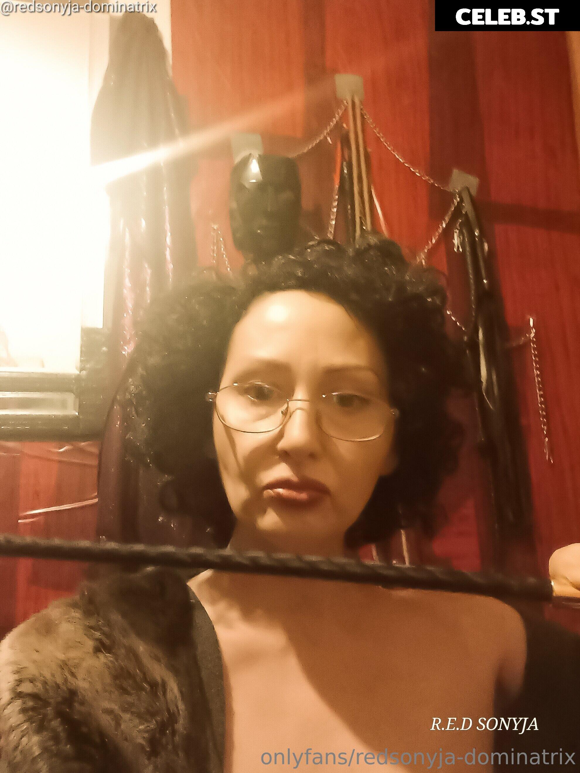 redsonyja-dominatrix Image 22229410
