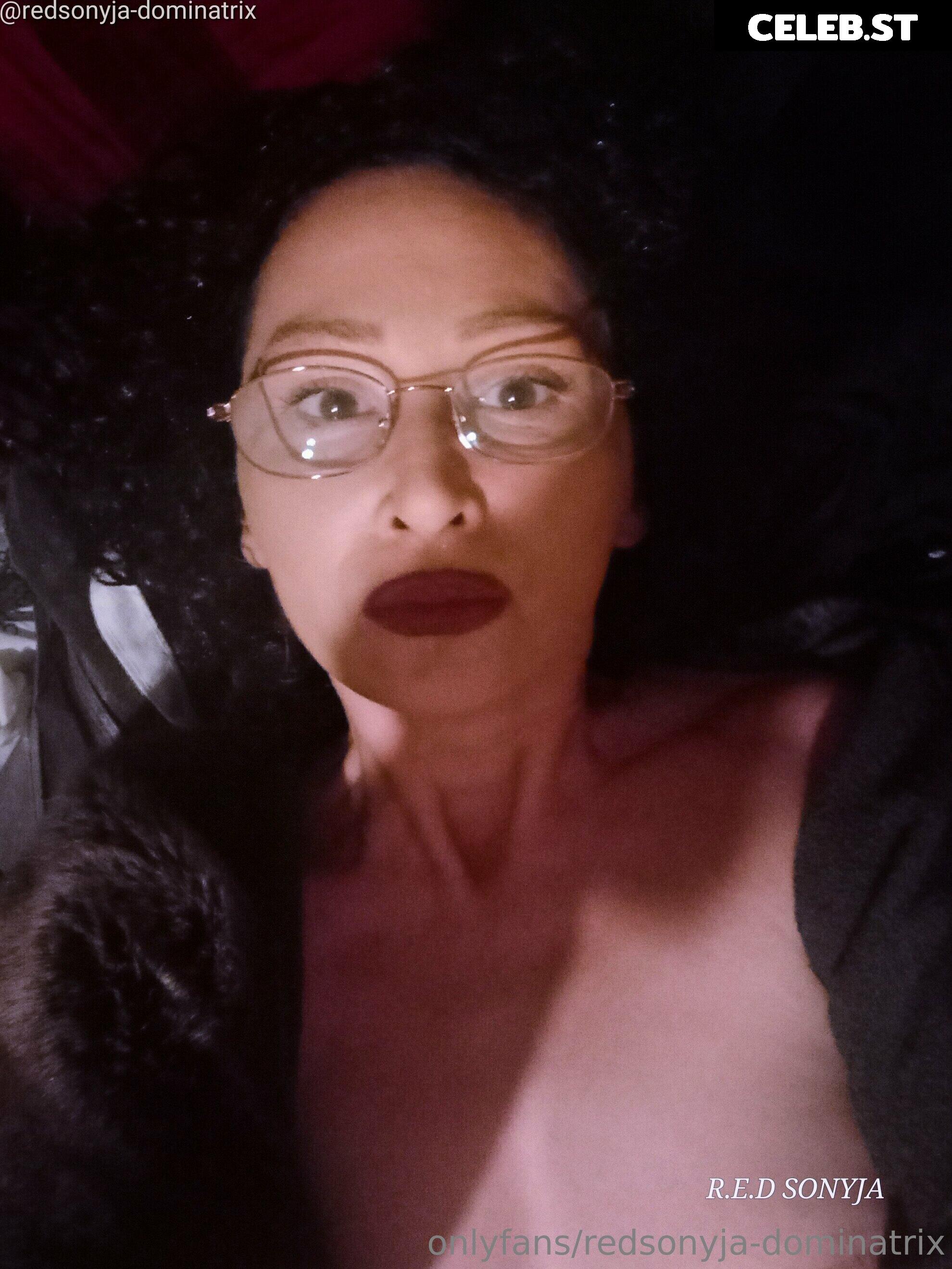 redsonyja-dominatrix Image 22229416