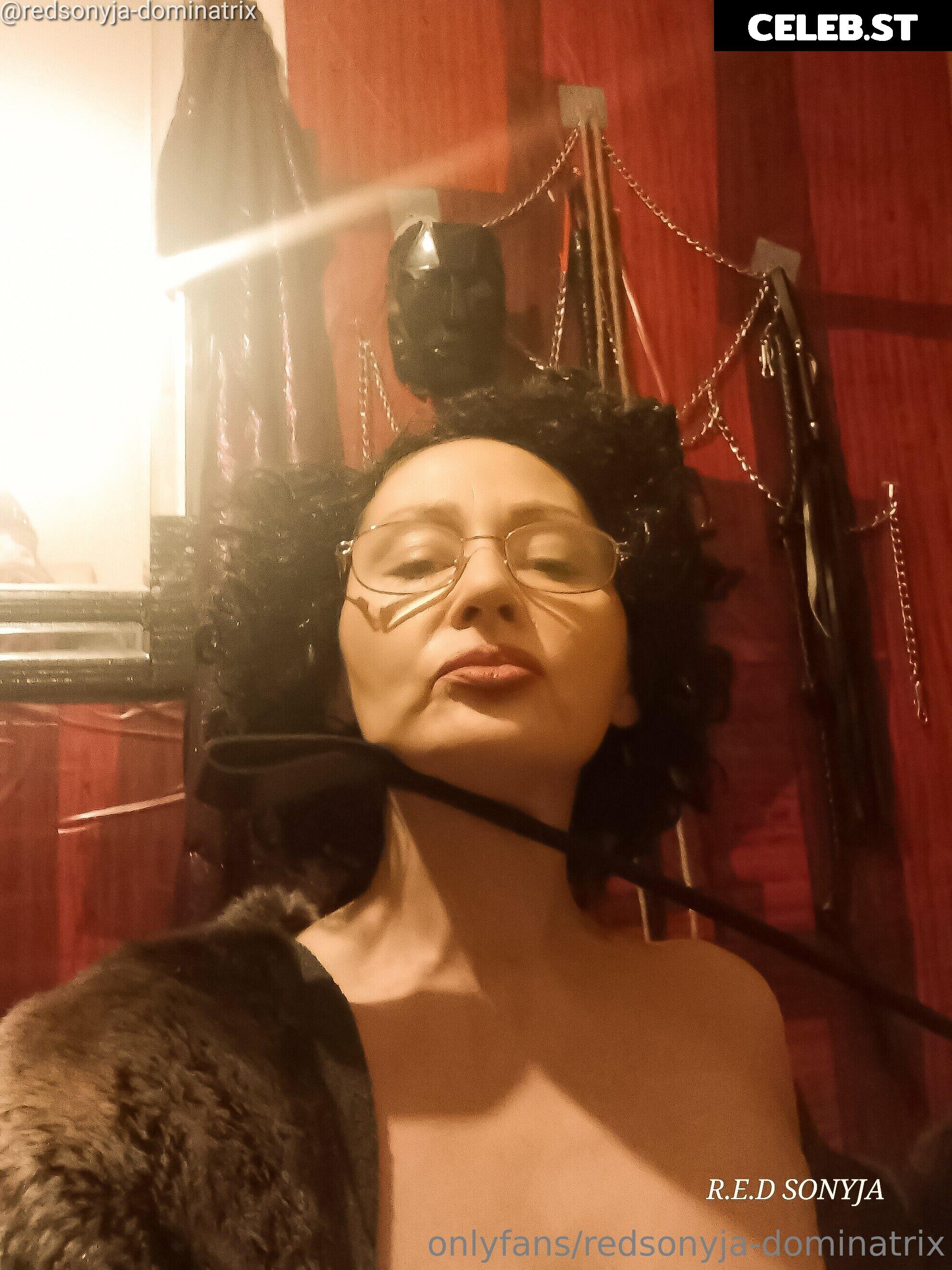 redsonyja-dominatrix Image 22229430