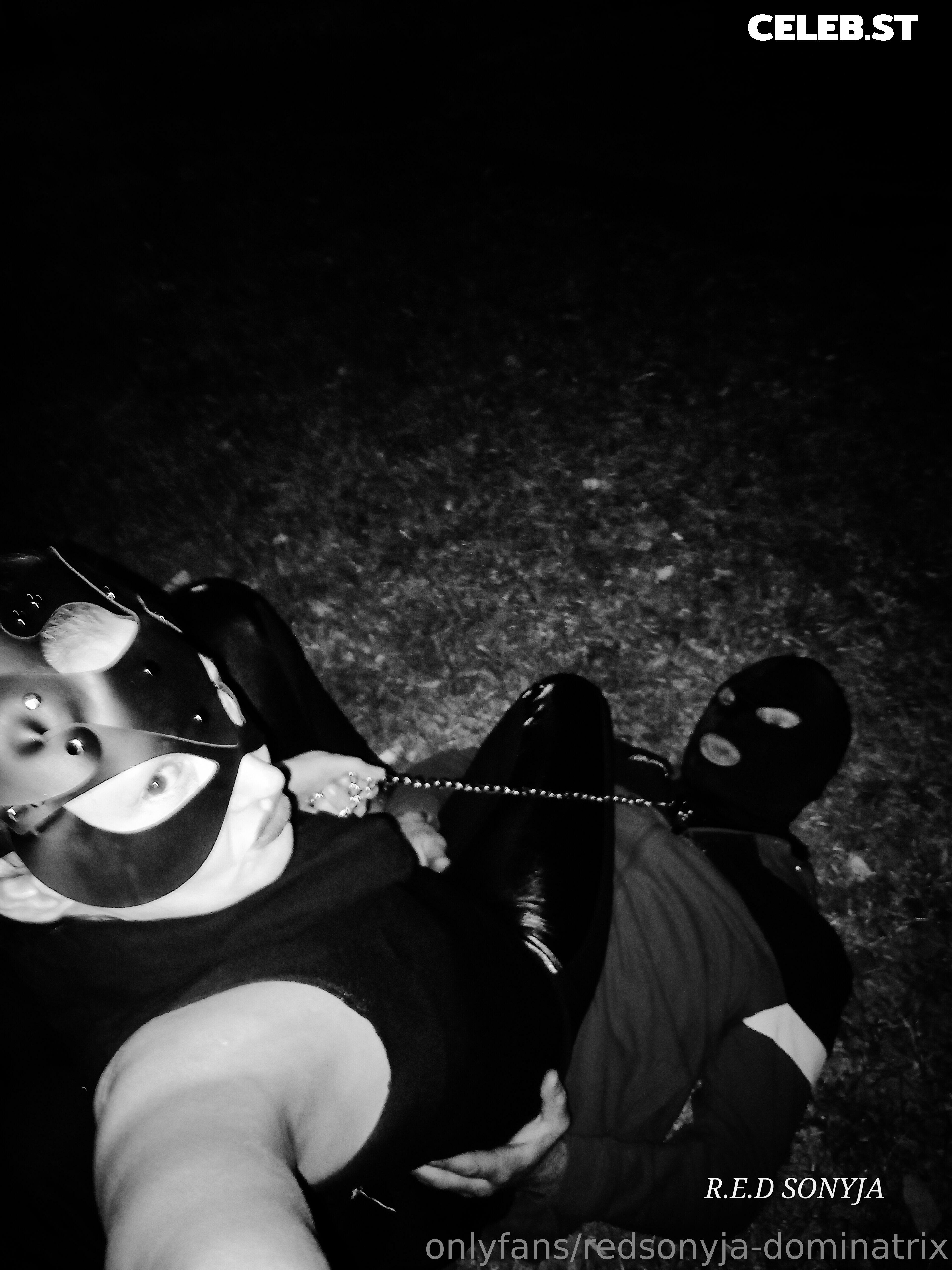 redsonyja-dominatrix Image 22229478