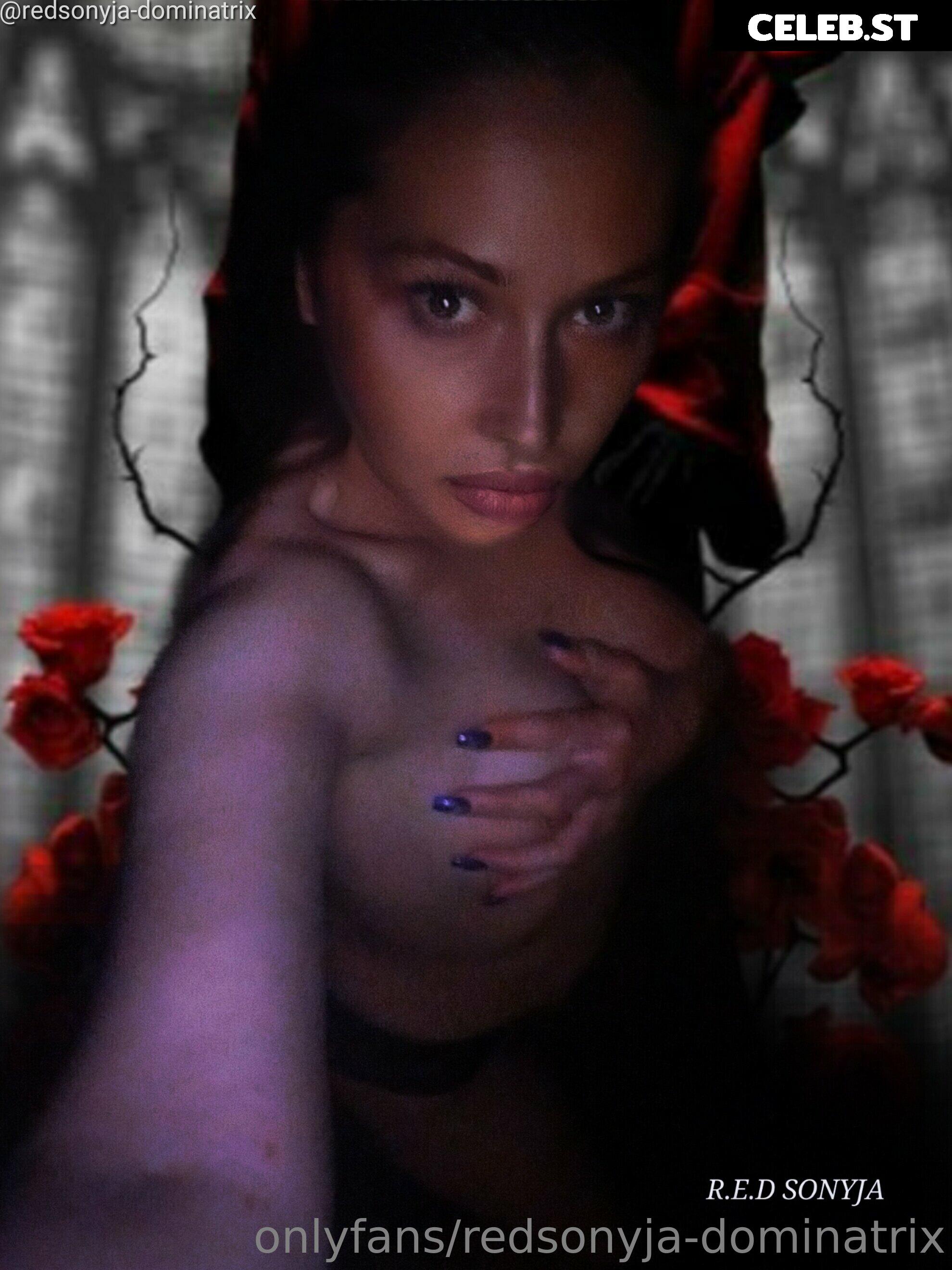 redsonyja-dominatrix Image 22229791