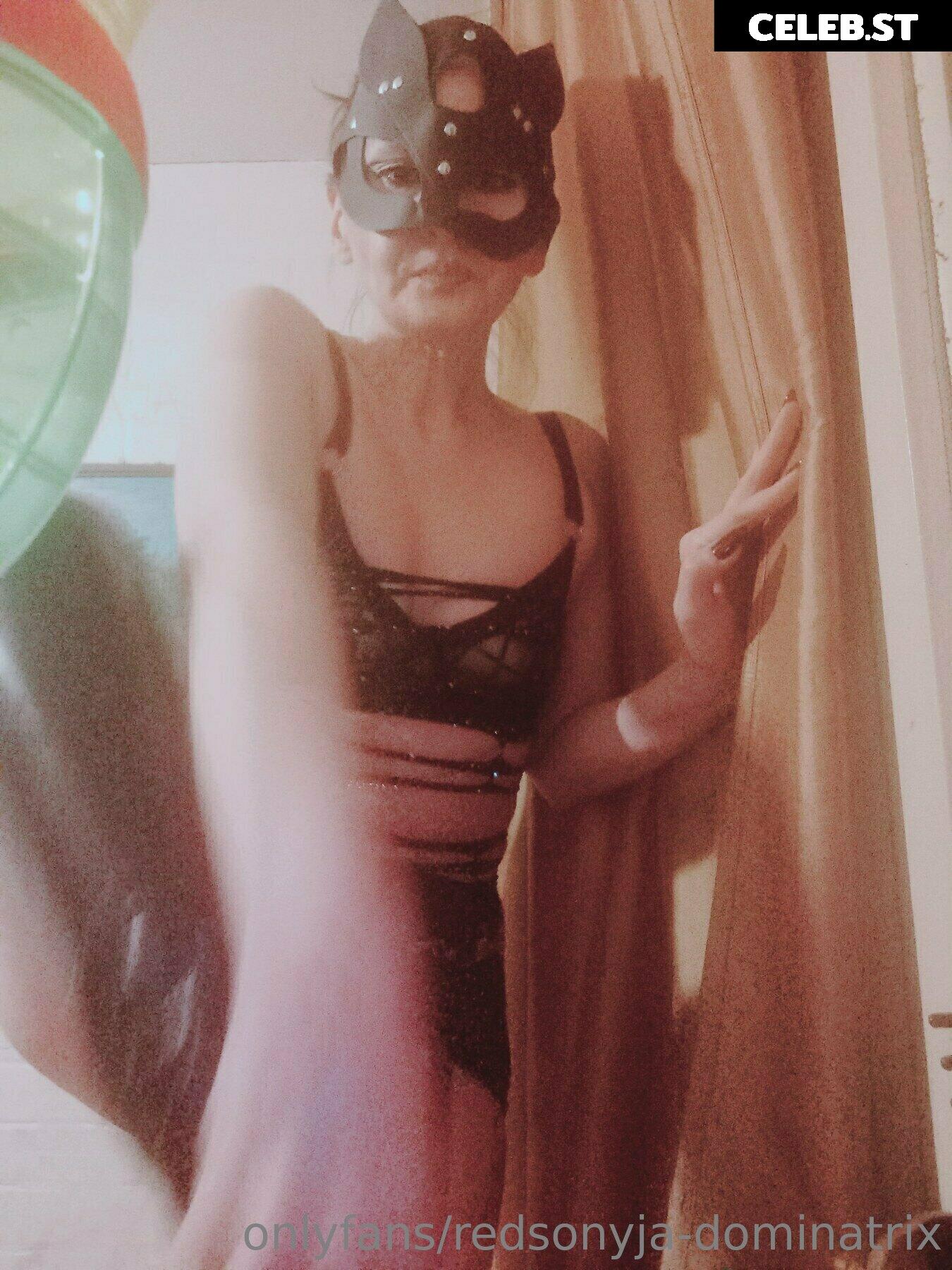 redsonyja-dominatrix Image 22229720