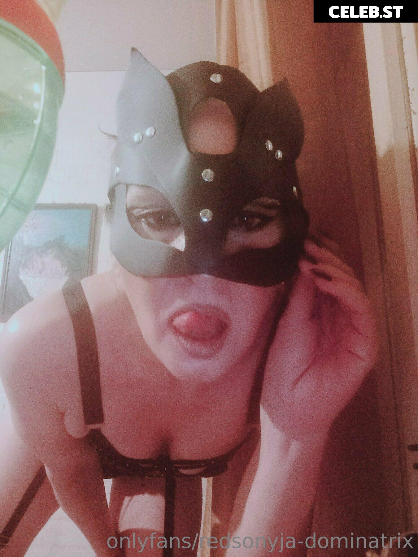 redsonyja-dominatrix Image 22229726