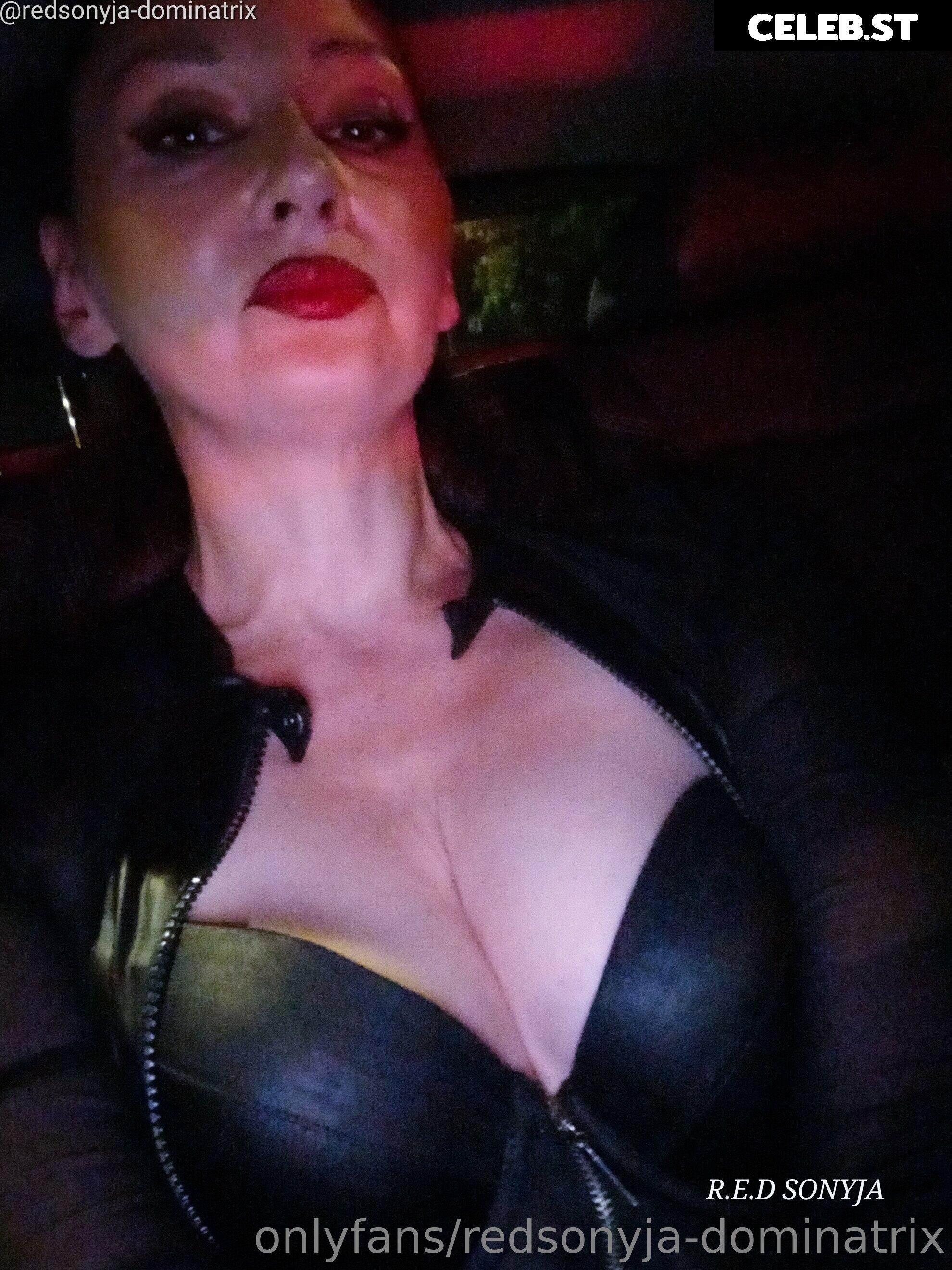 redsonyja-dominatrix Image 22229719