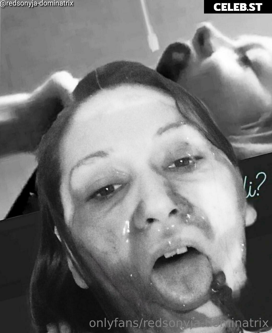 redsonyja-dominatrix Image 22229733