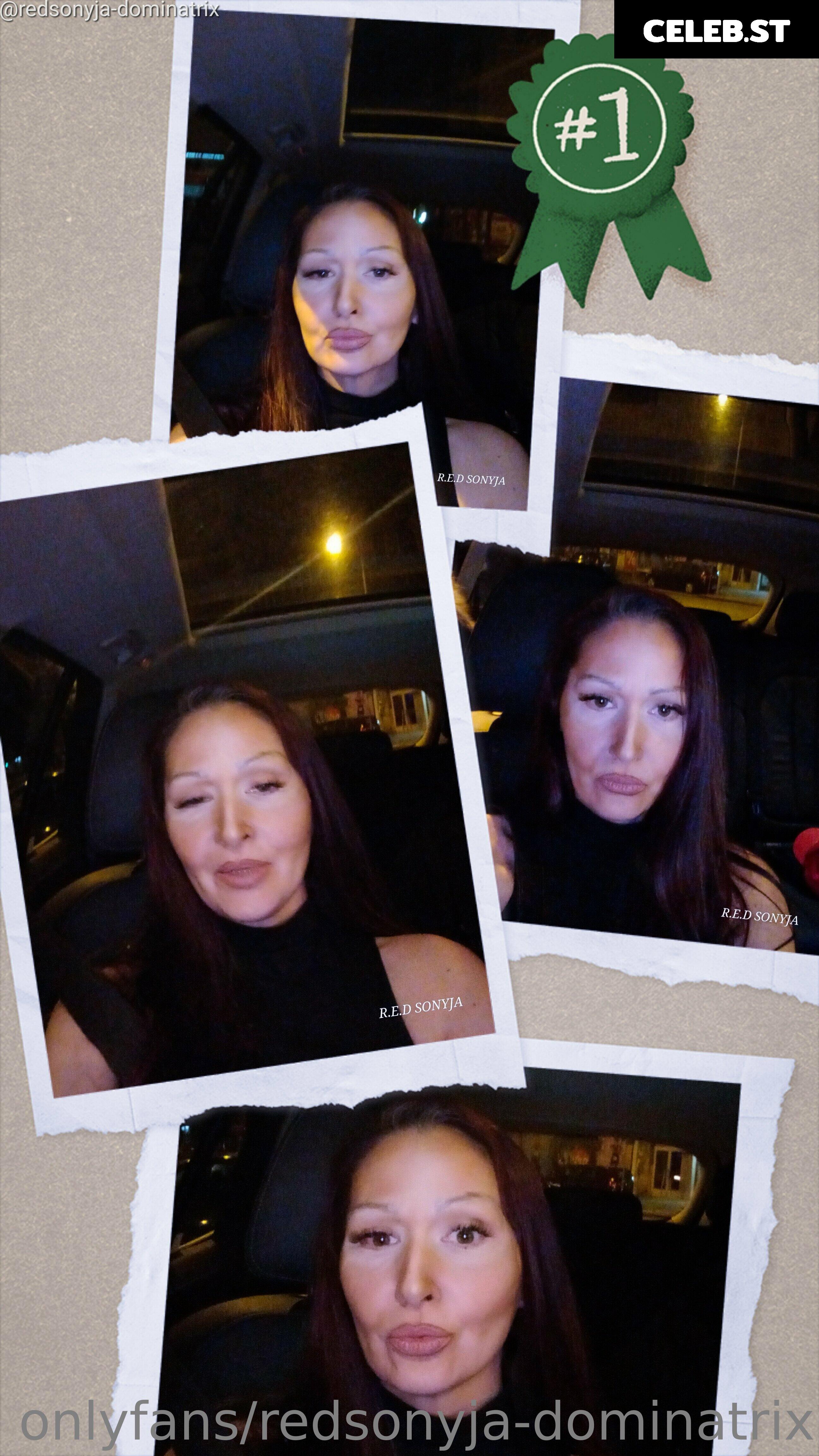 redsonyja-dominatrix Image 22229761