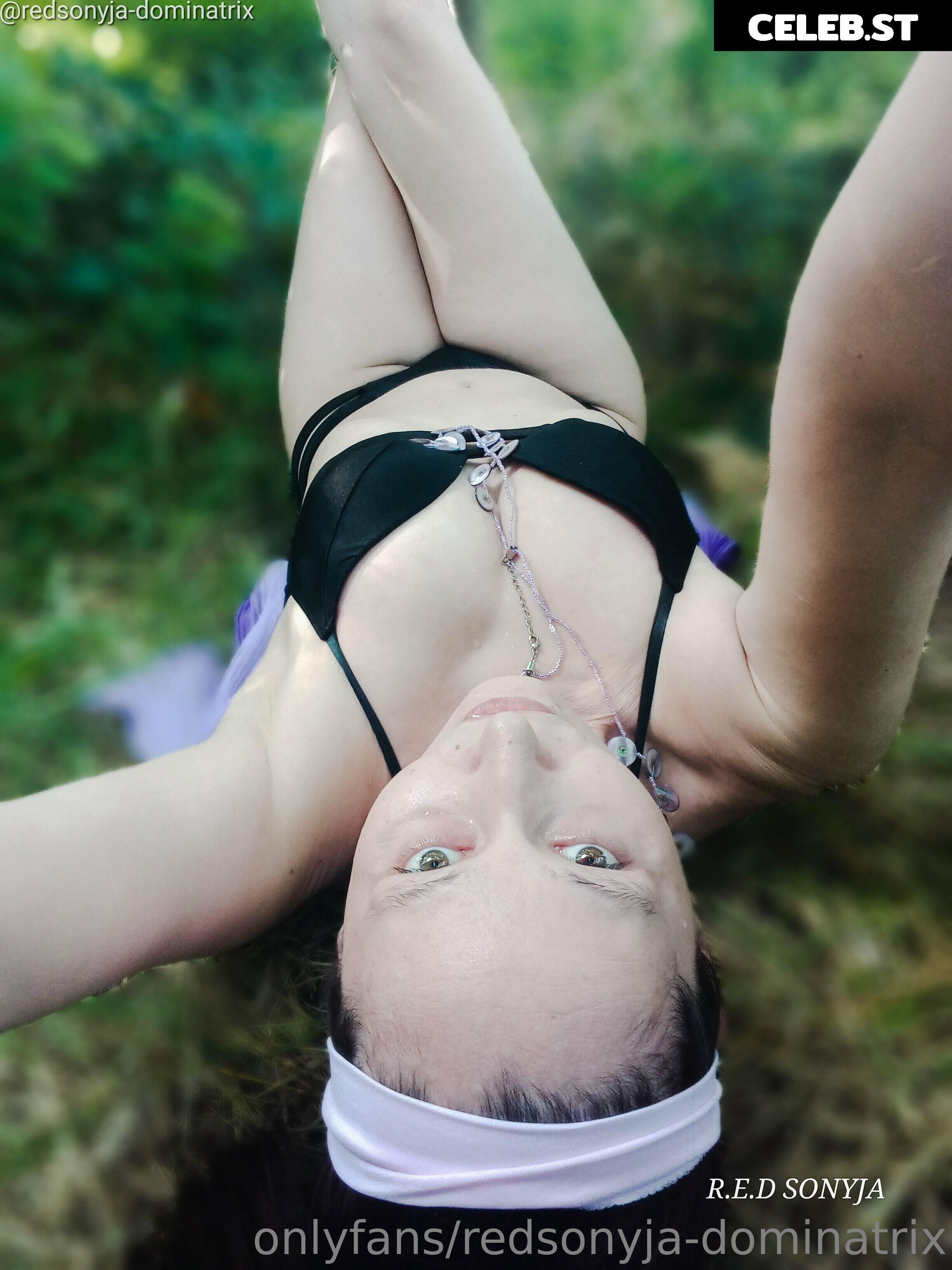 redsonyja-dominatrix Image 22229754