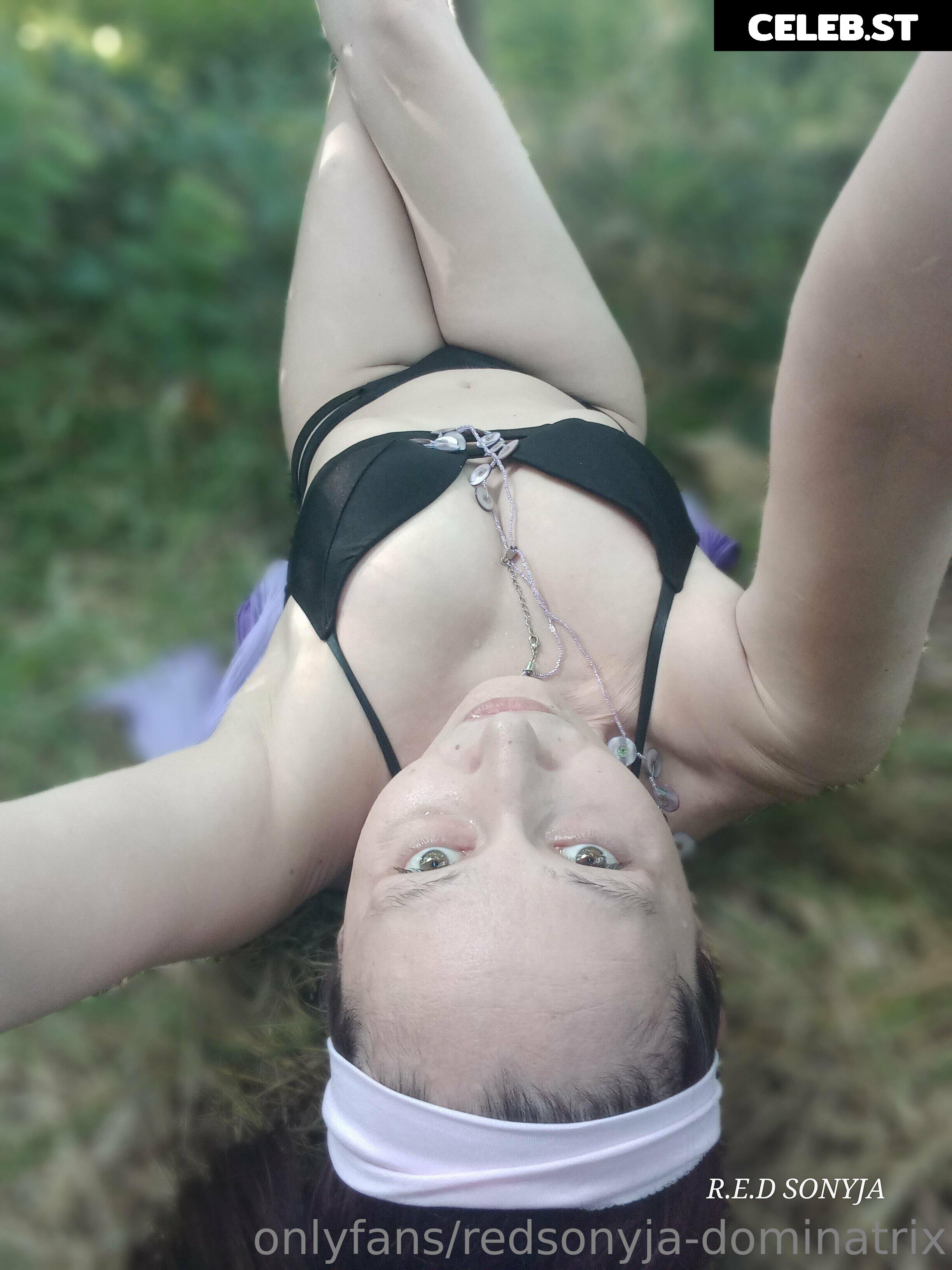 redsonyja-dominatrix Image 22229775