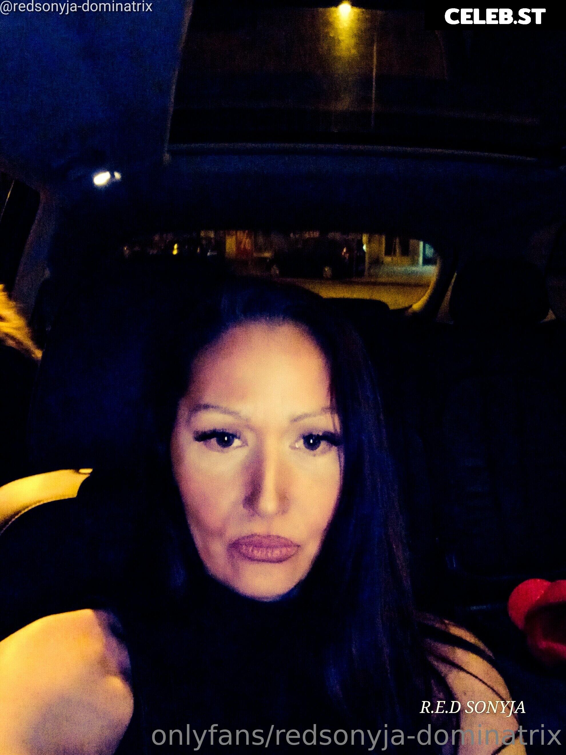 redsonyja-dominatrix Image 22229693