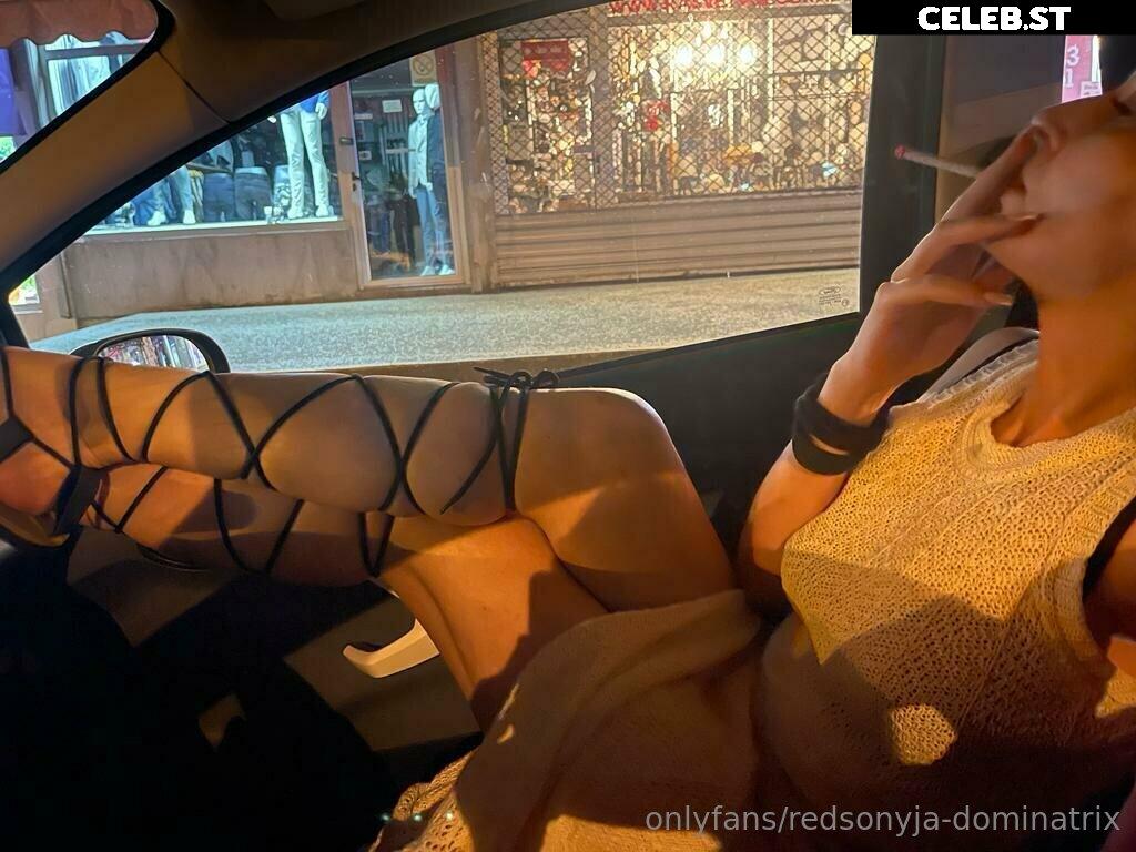 redsonyja-dominatrix Image 22229694