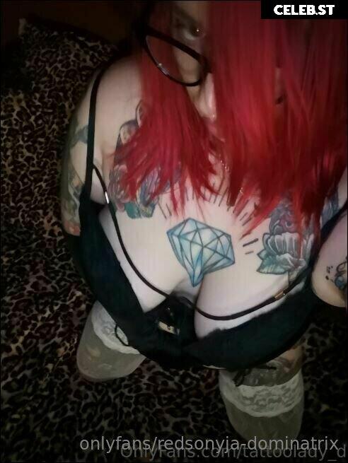 redsonyja-dominatrix Image 22229680