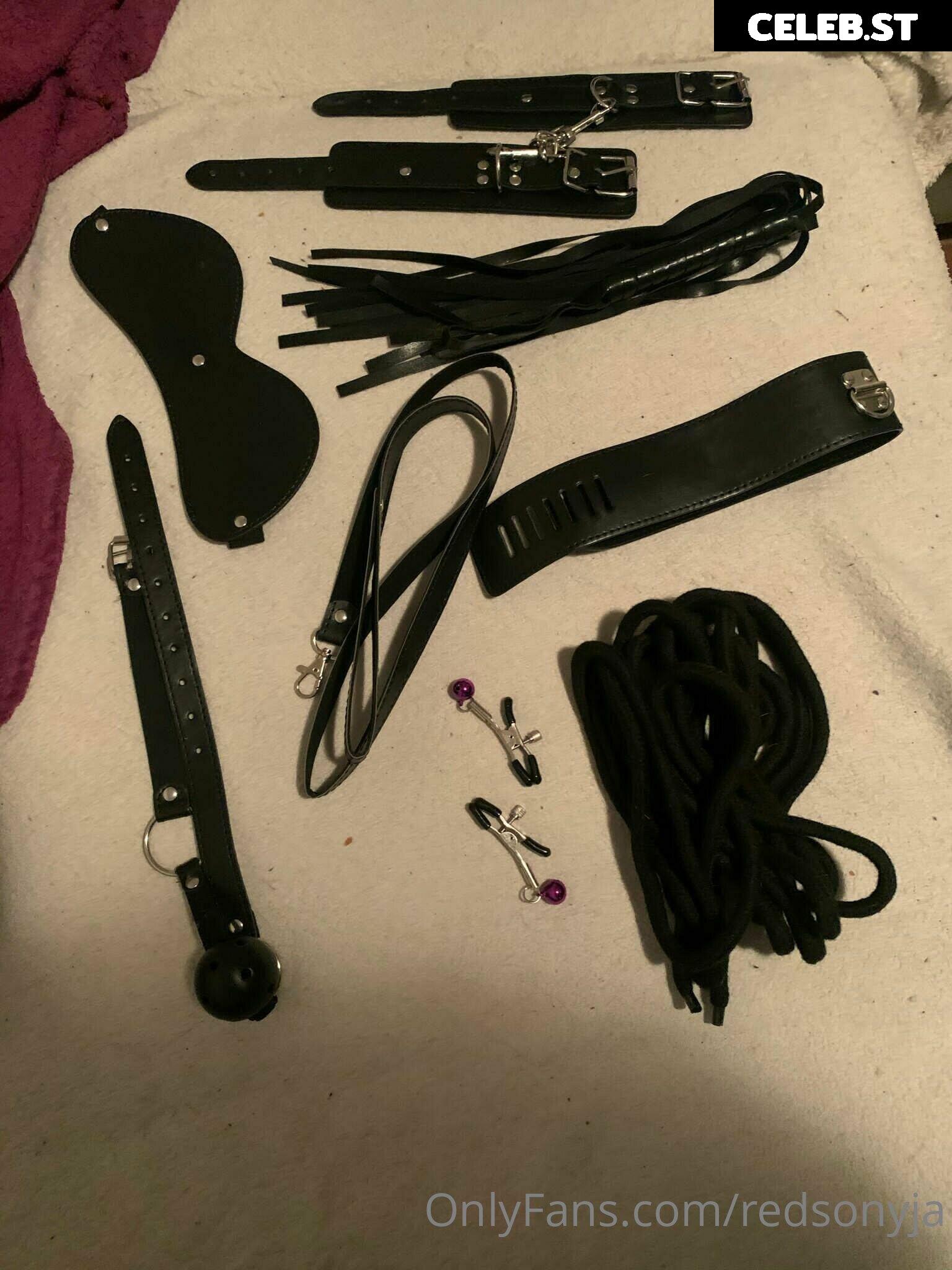 redsonyja-dominatrix Image 22229606