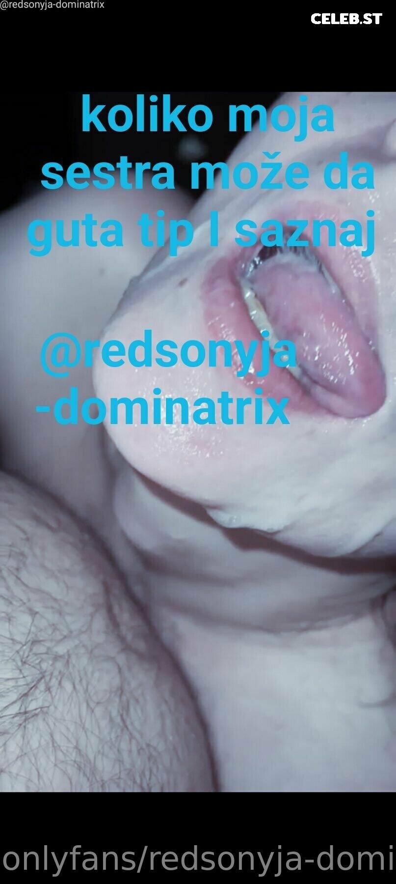 redsonyja-dominatrix Image 22229641