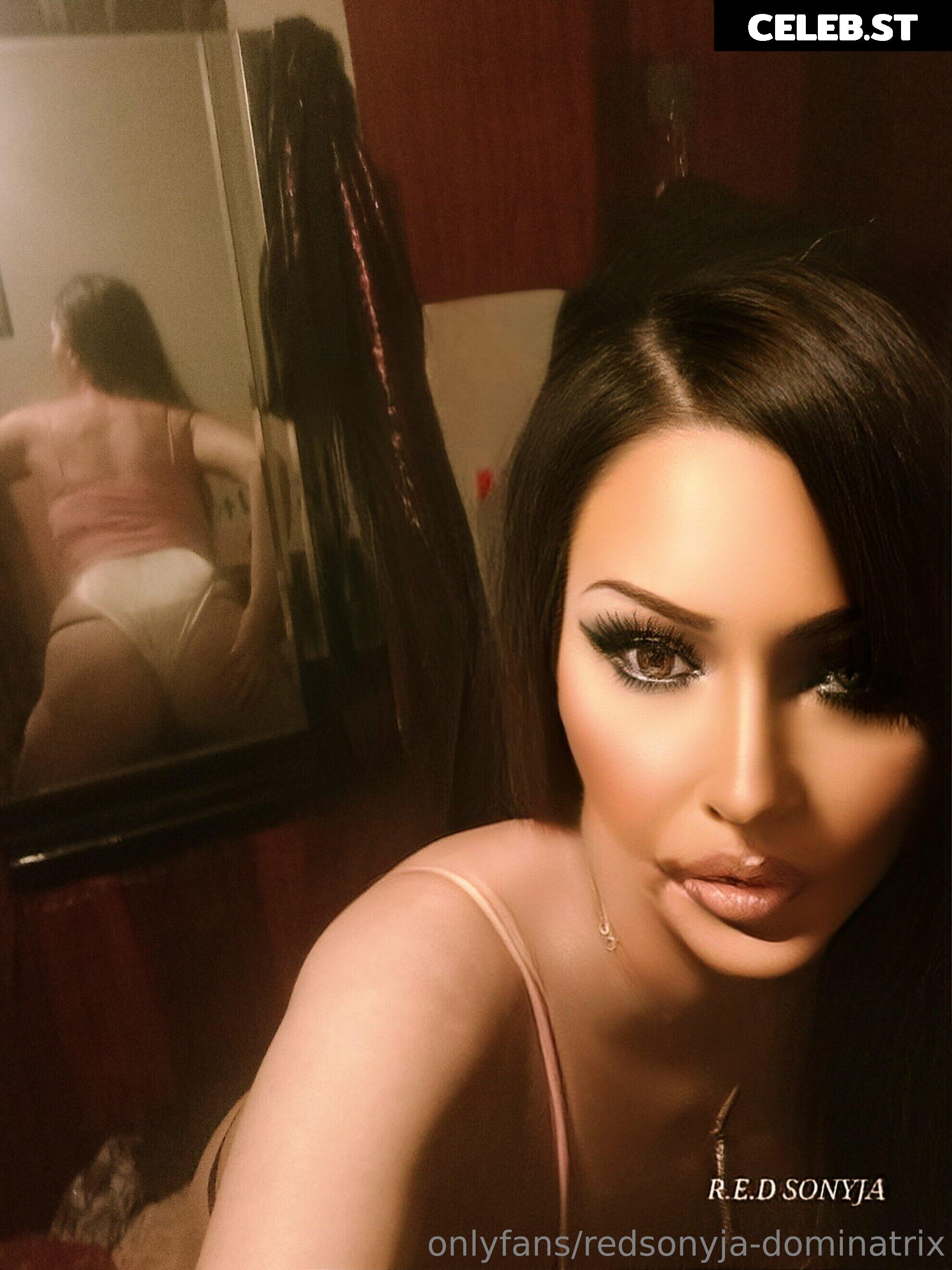 redsonyja-dominatrix Image 22229395