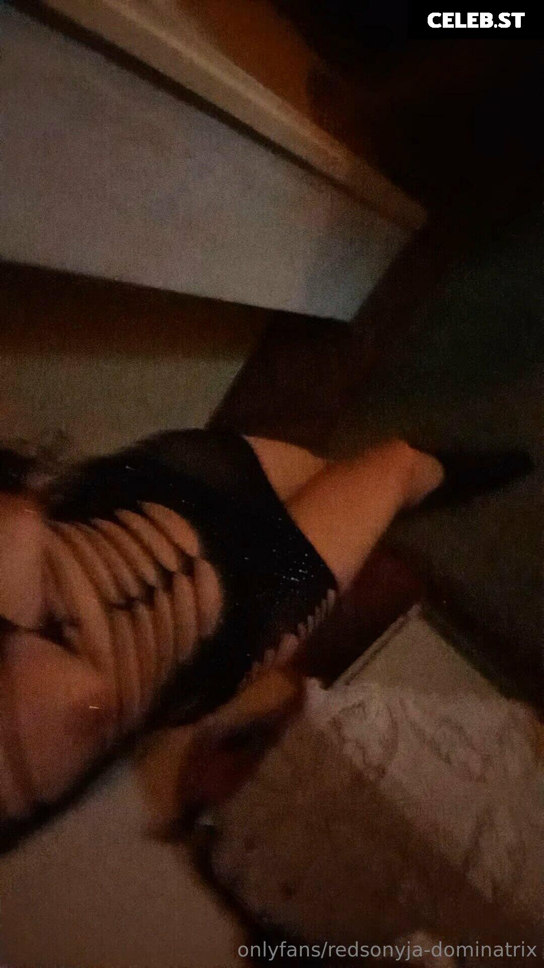 redsonyja-dominatrix Image 22229380