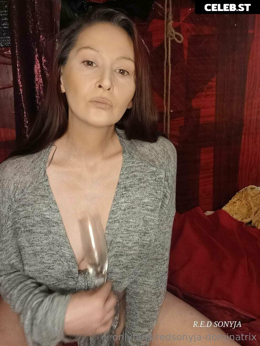 redsonyja-dominatrix Image 22229385