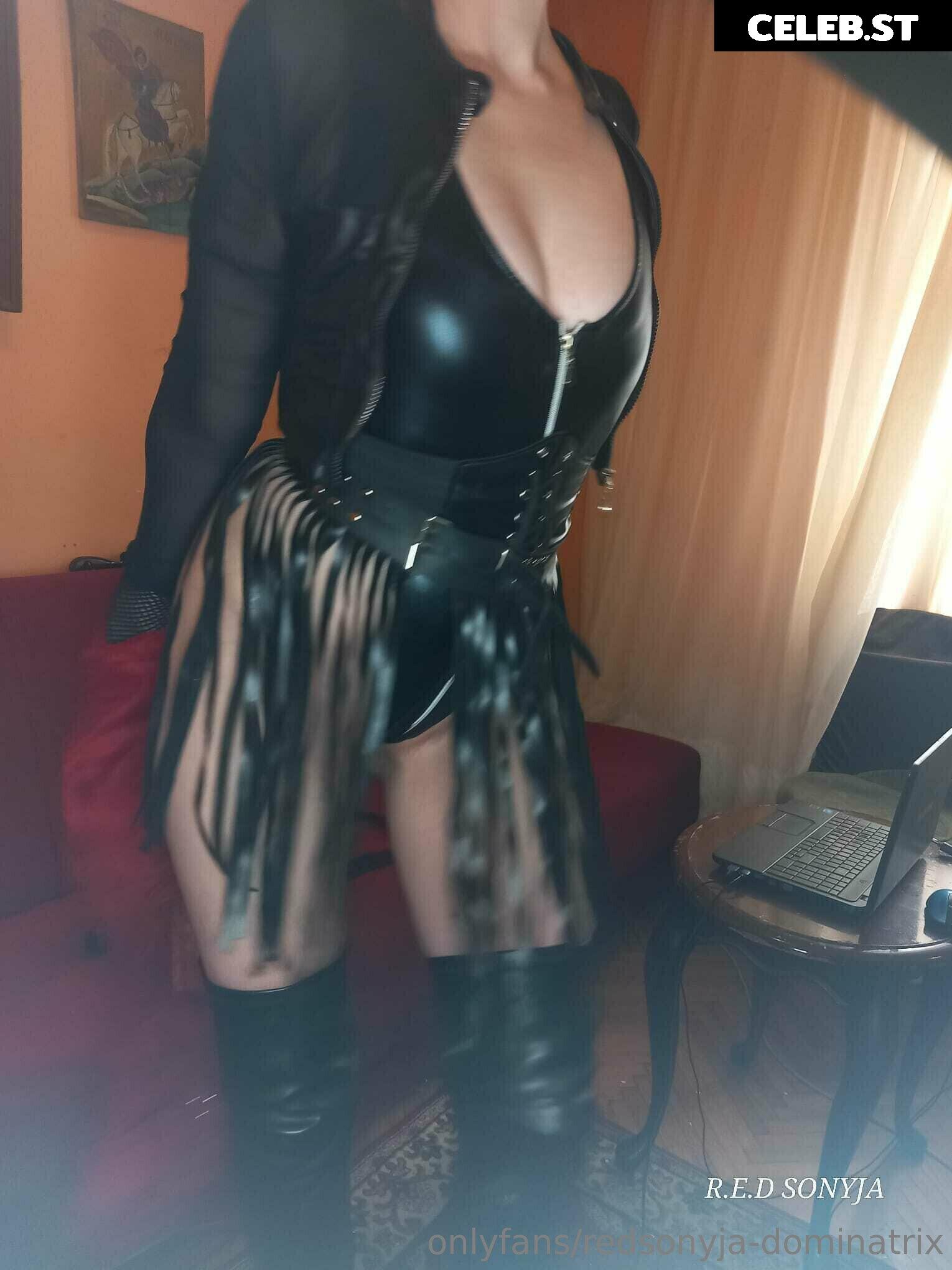 redsonyja-dominatrix Image 22229321