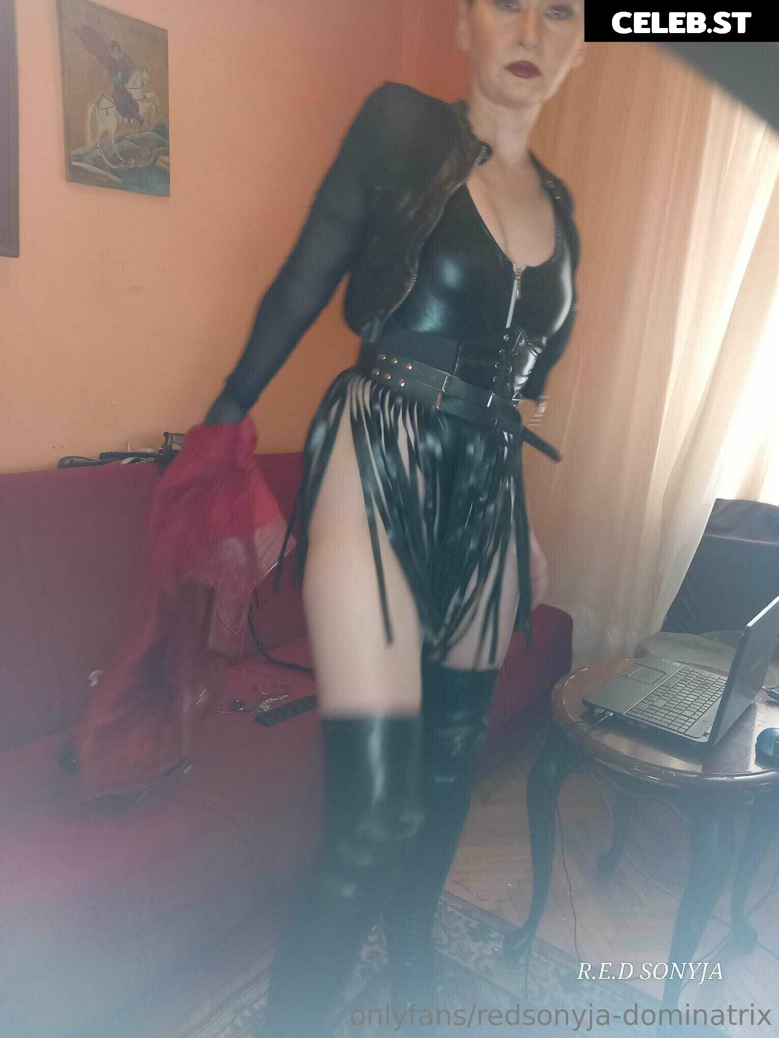 redsonyja-dominatrix Image 22229320