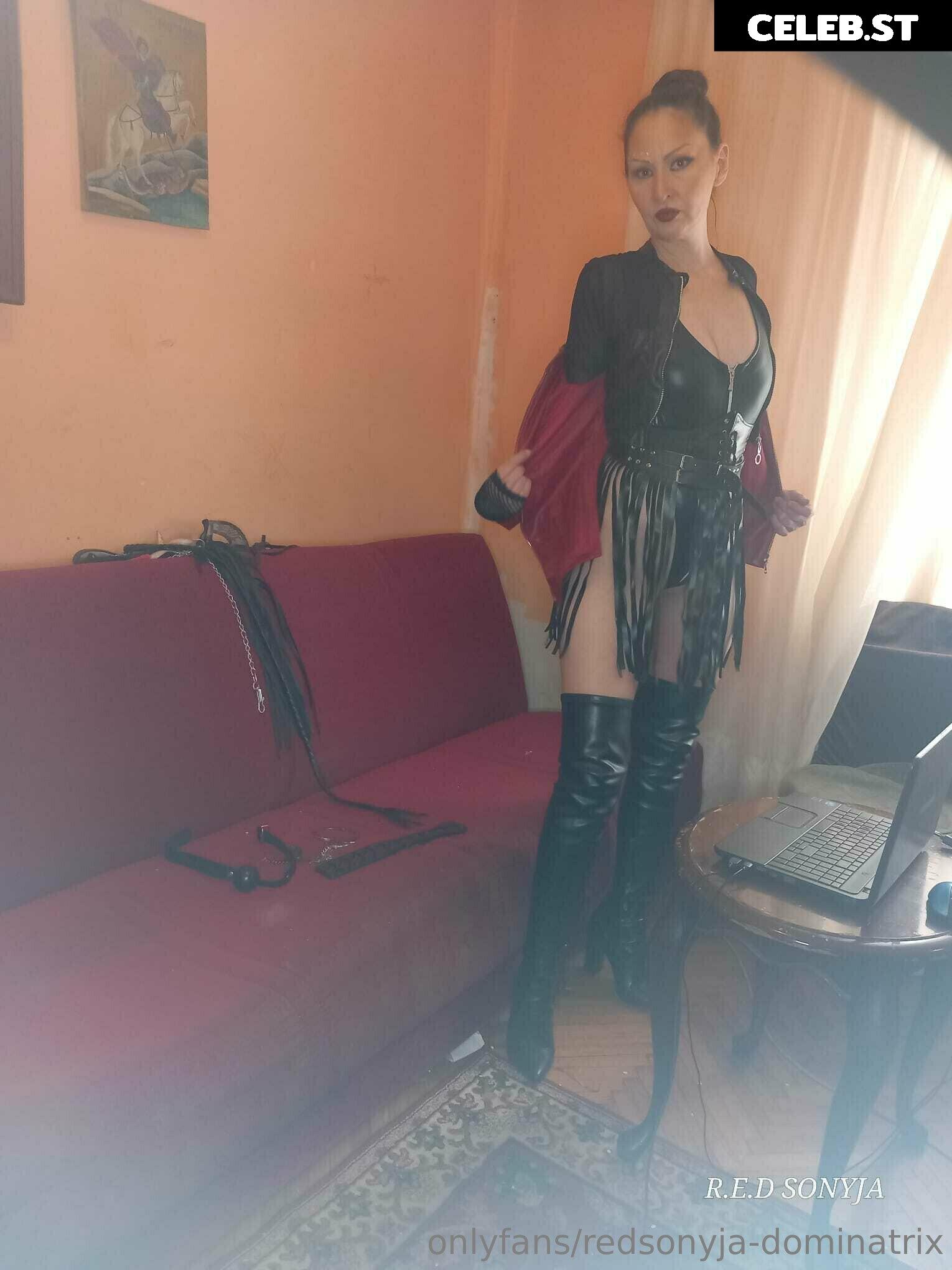 redsonyja-dominatrix Image 22229329