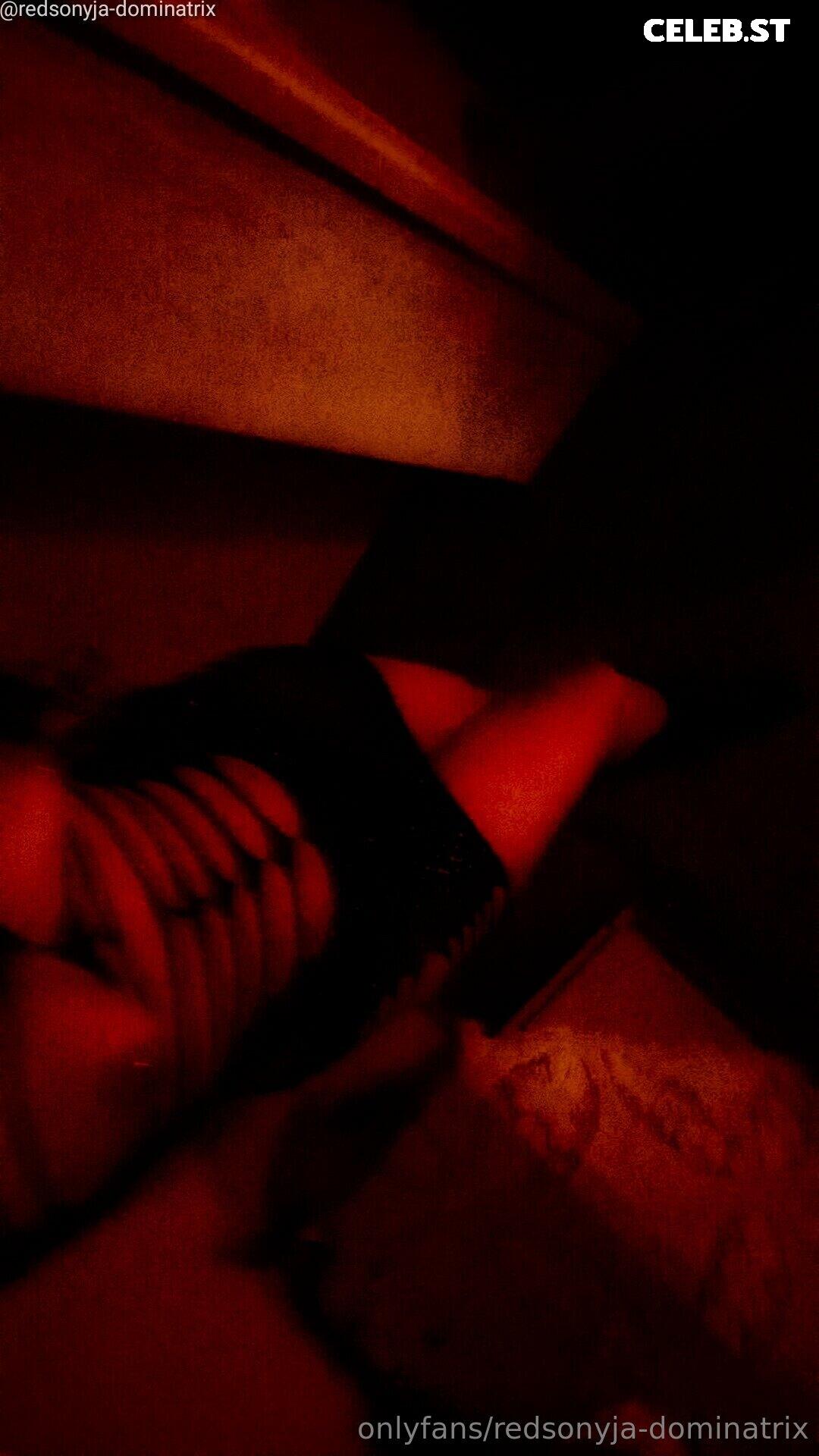 redsonyja-dominatrix Image 22229310