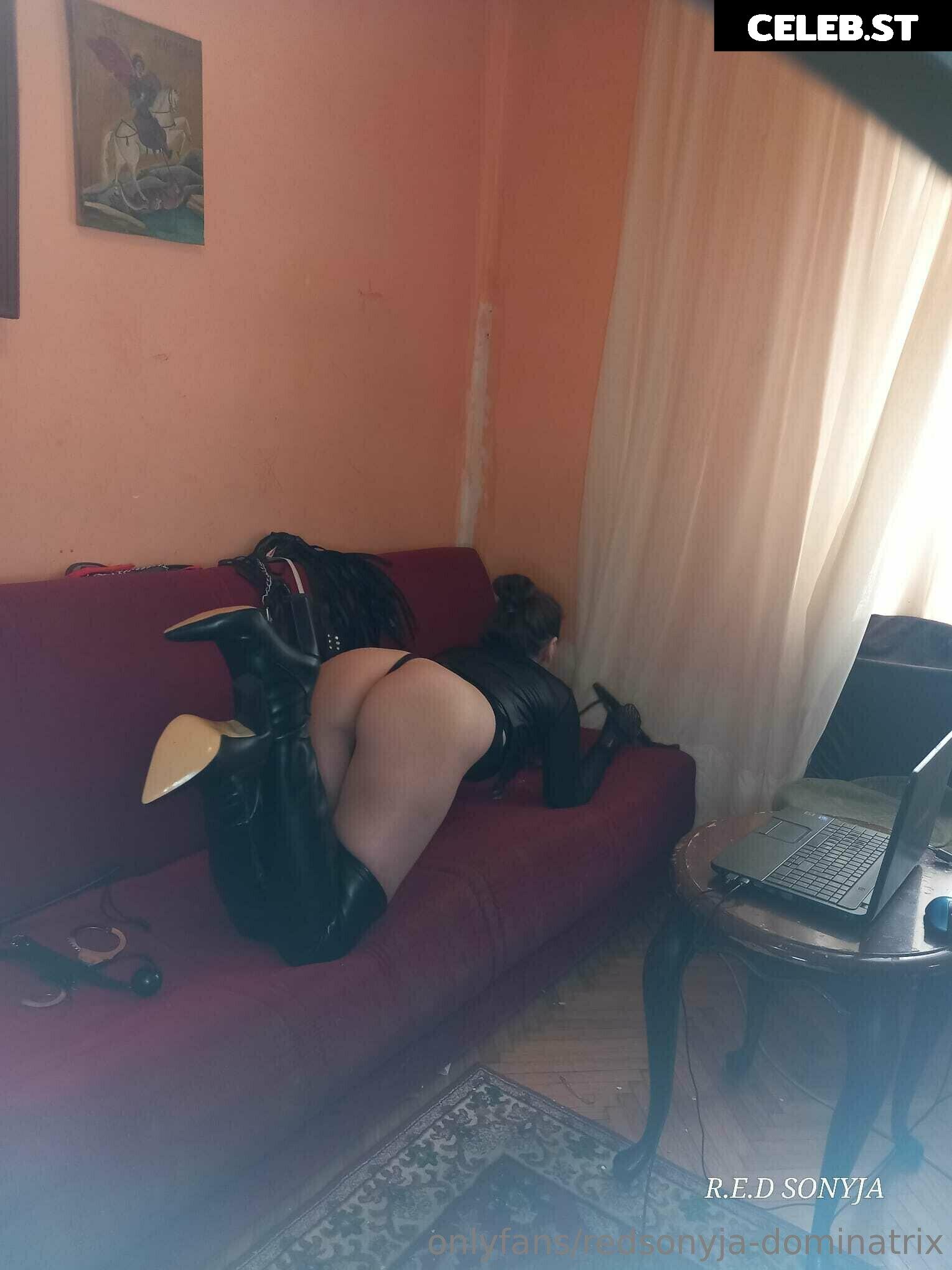 redsonyja-dominatrix Image 22229306