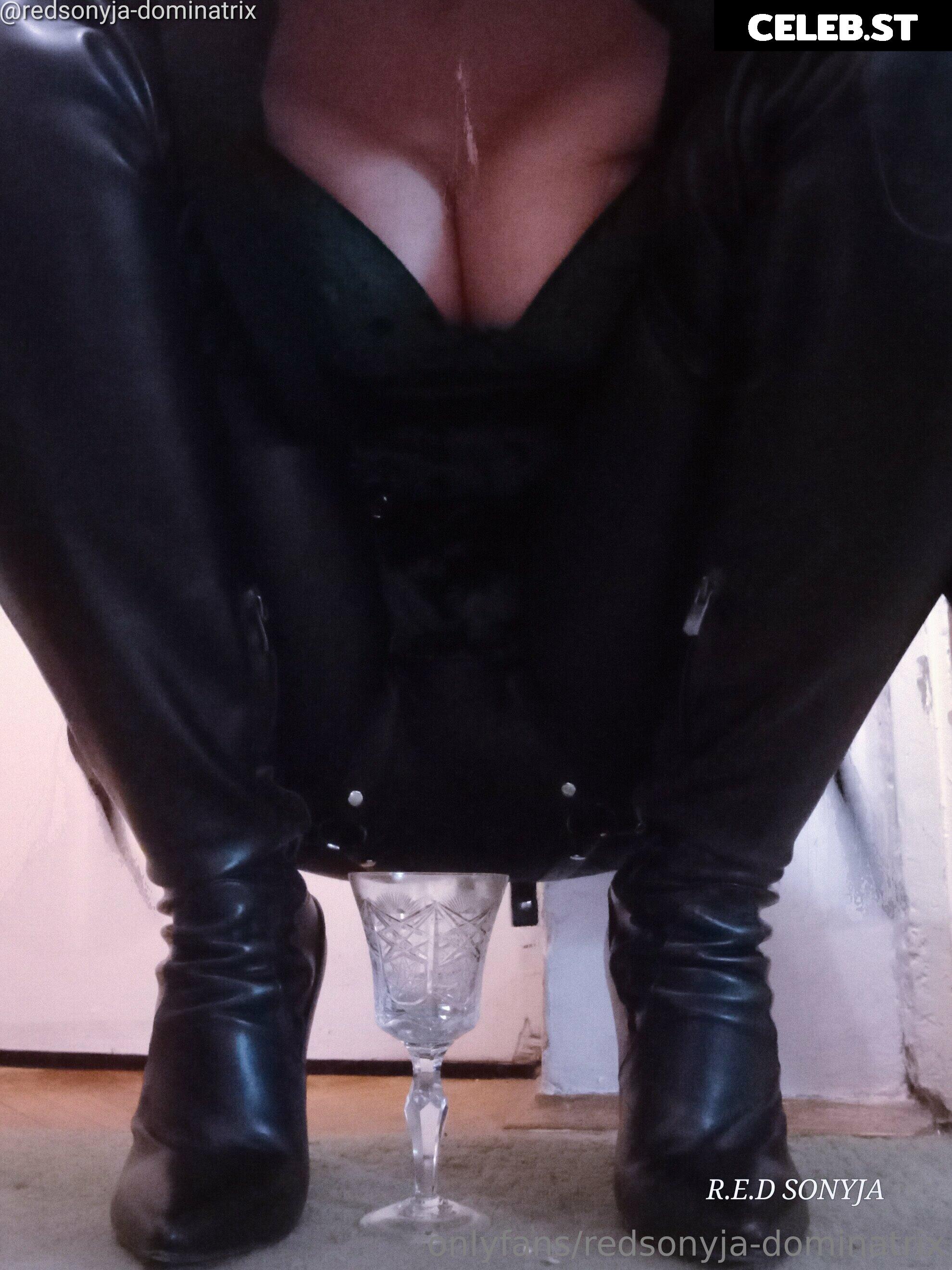 redsonyja-dominatrix Image 22229305