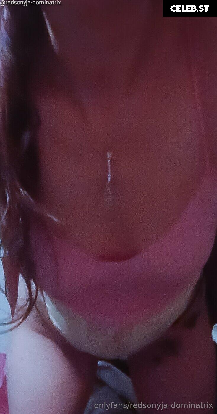 redsonyja-dominatrix Image 22229309