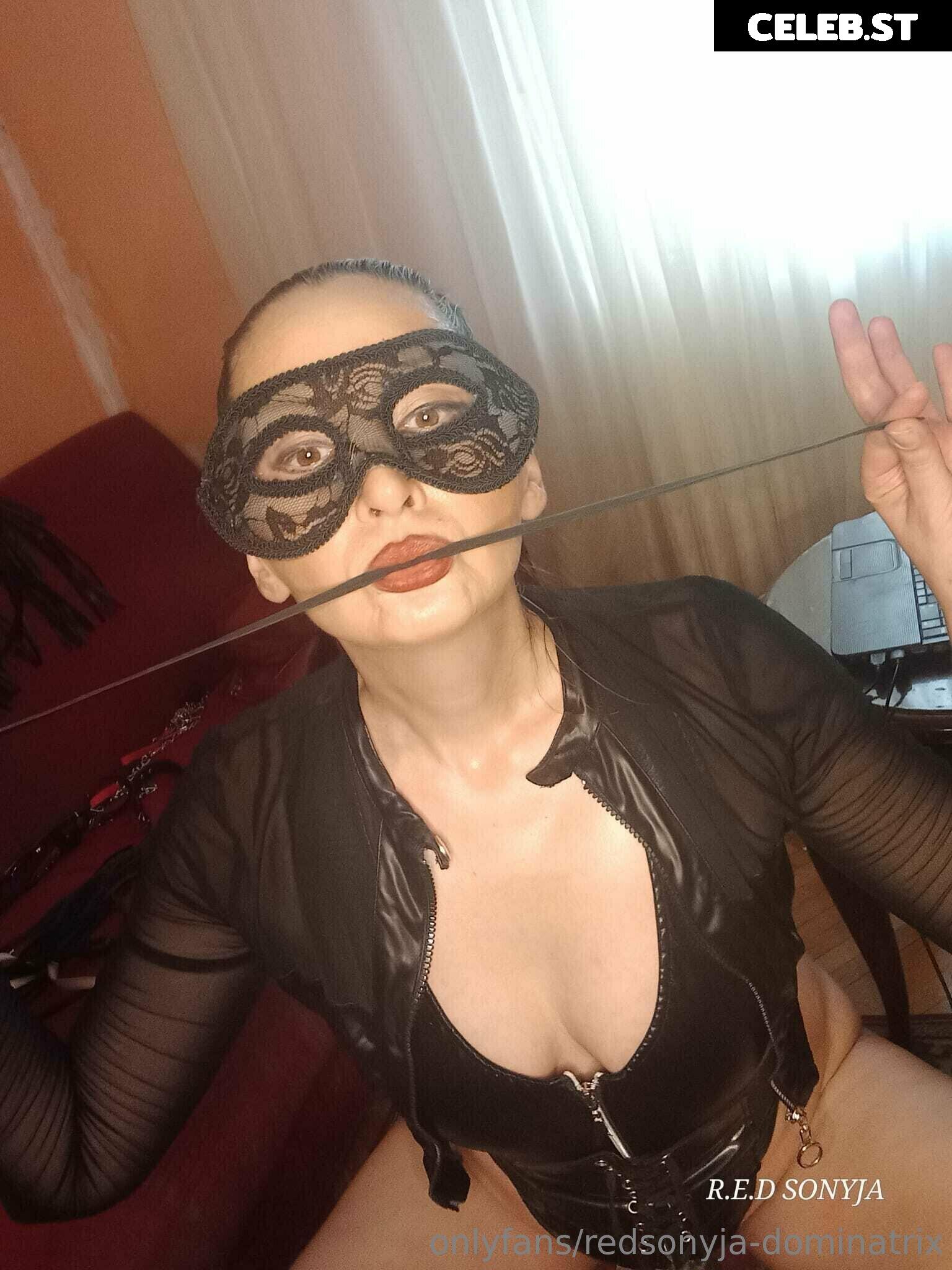 redsonyja-dominatrix Image 22229331