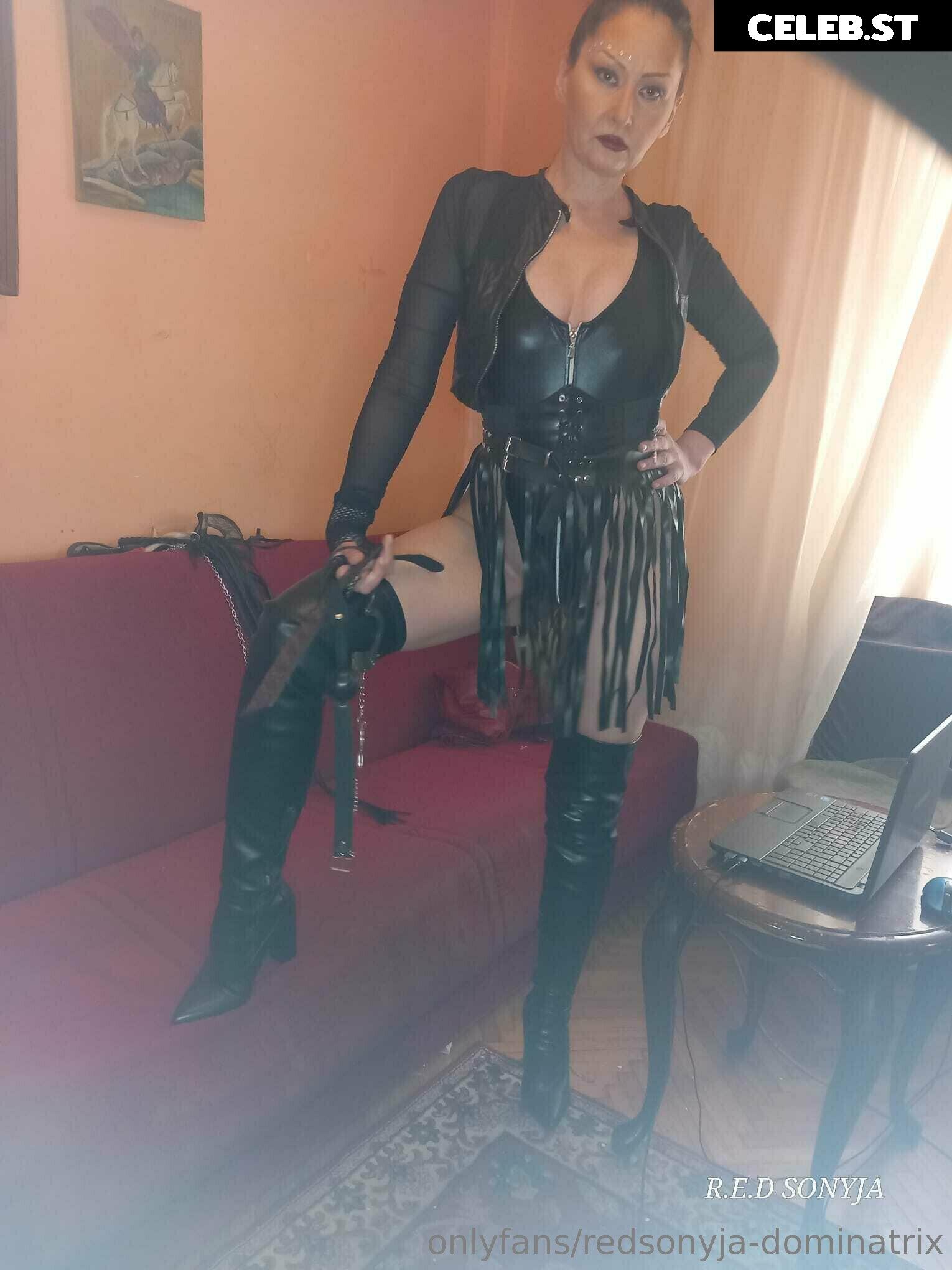 redsonyja-dominatrix Image 22229337
