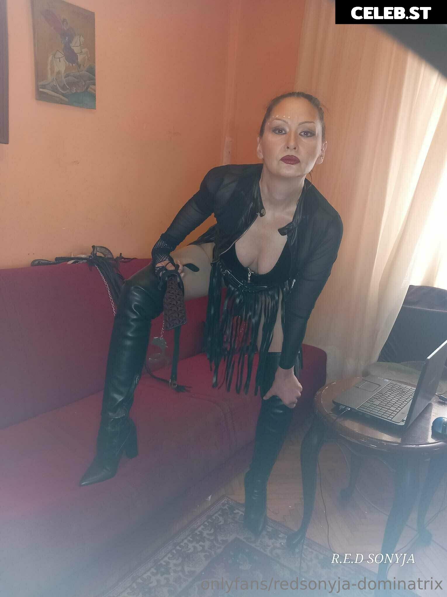 redsonyja-dominatrix Image 22229336