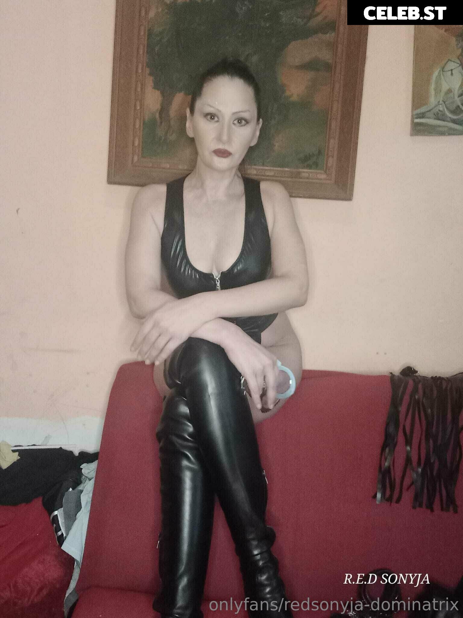 redsonyja-dominatrix Image 22229334