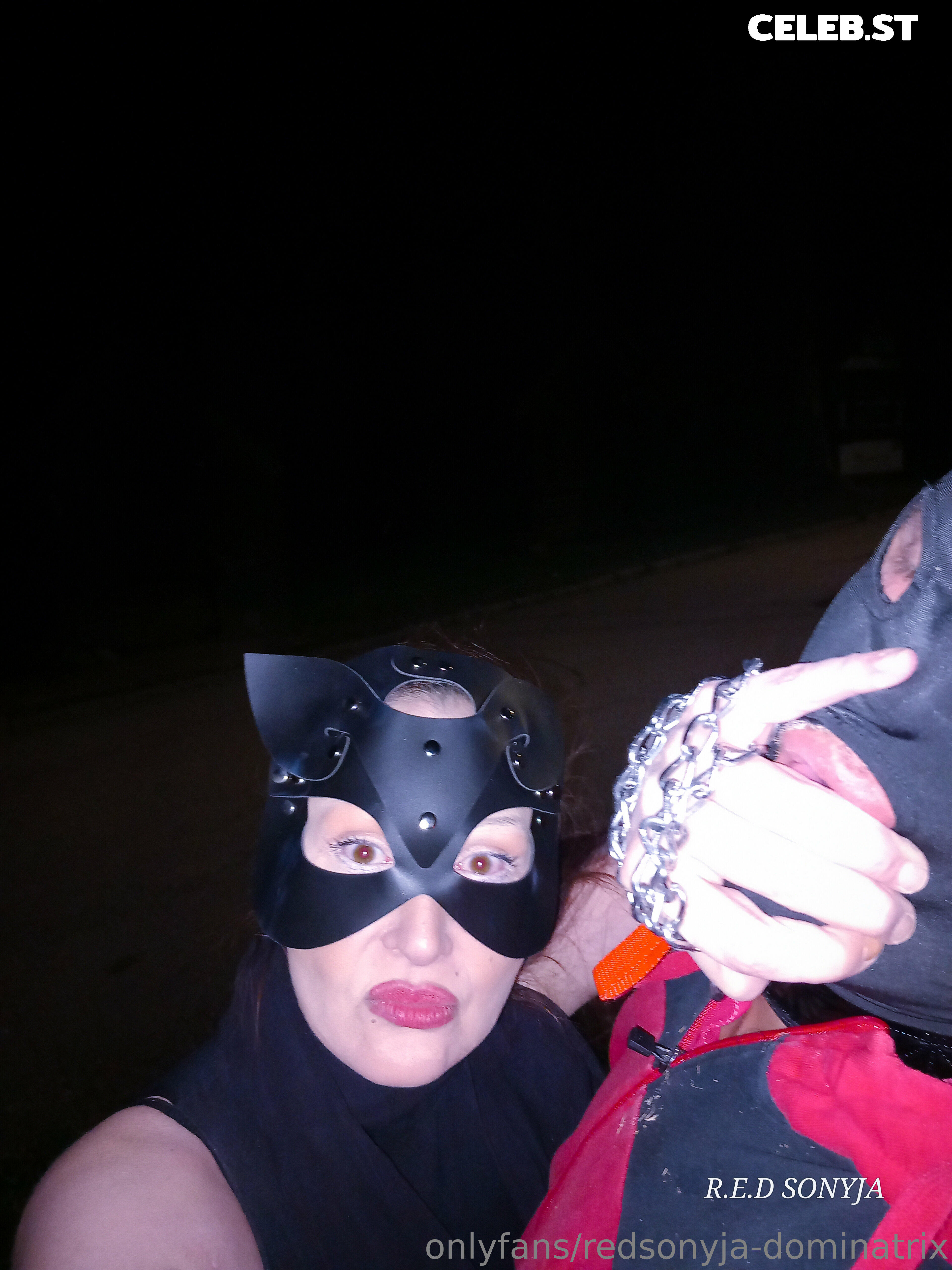 redsonyja-dominatrix Image 22229361