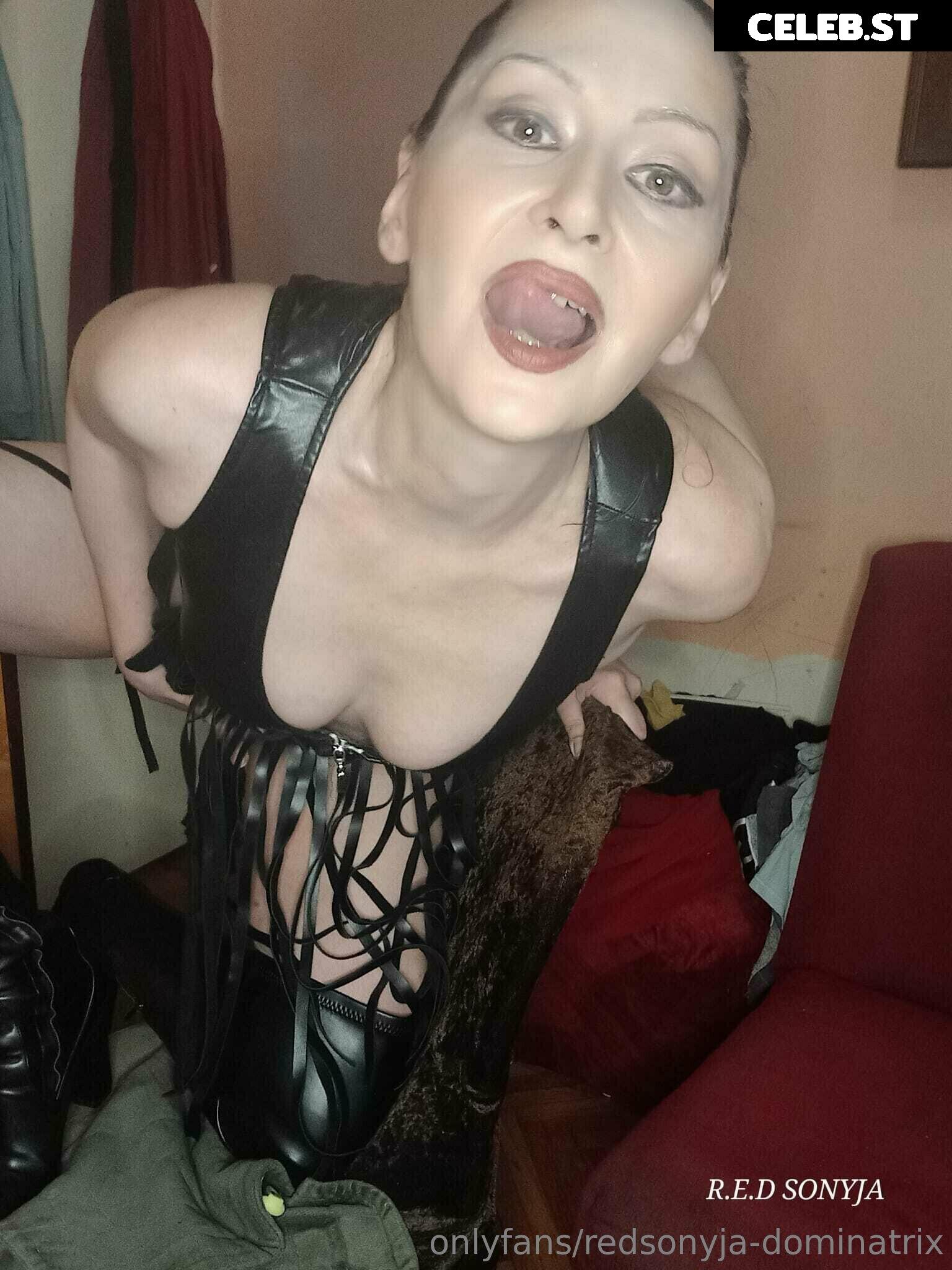 redsonyja-dominatrix Image 22229360