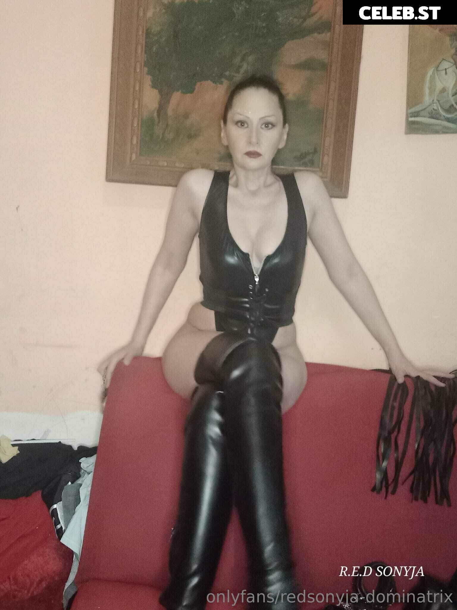 redsonyja-dominatrix Image 22229353
