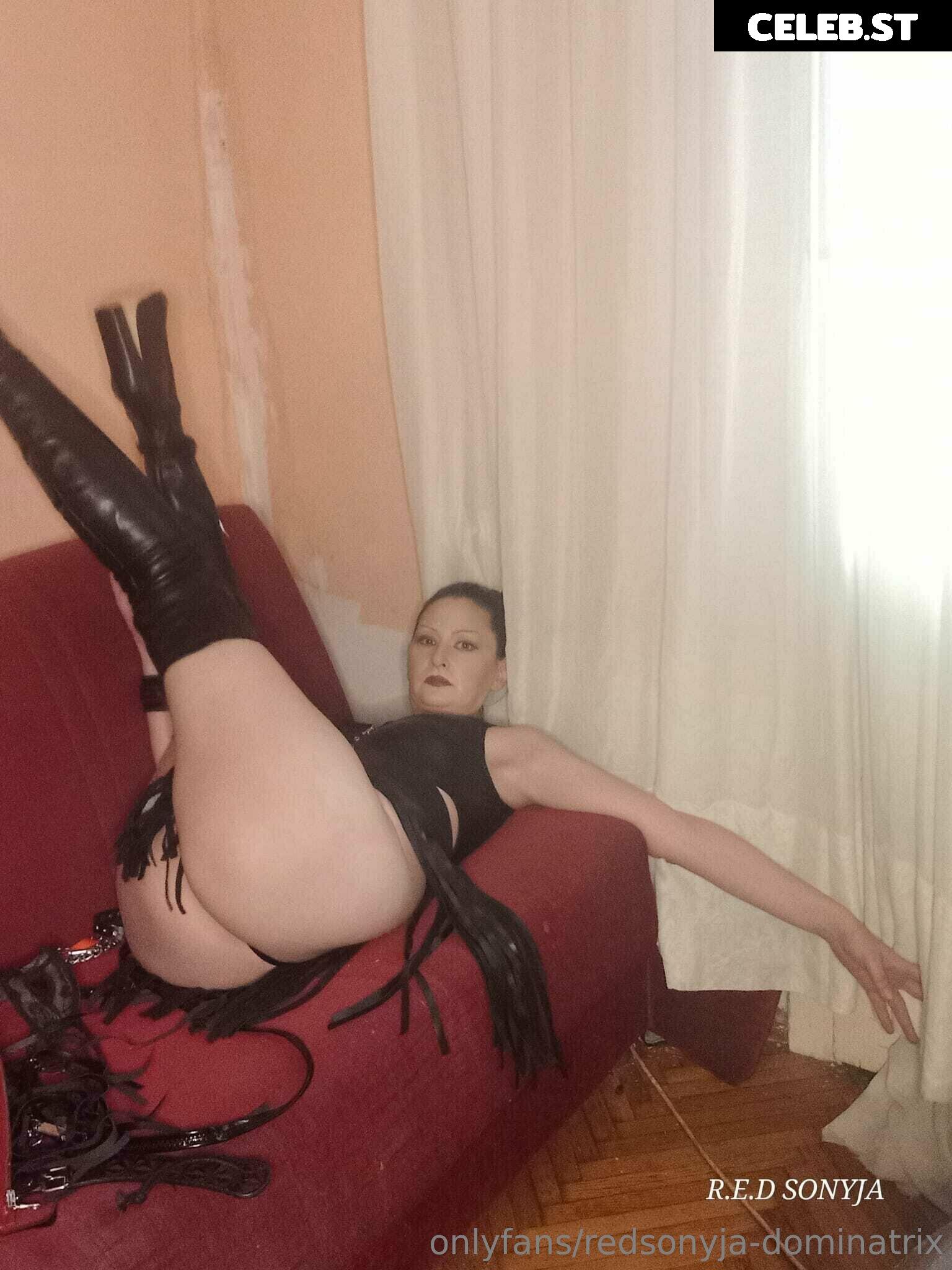 redsonyja-dominatrix Image 22229351