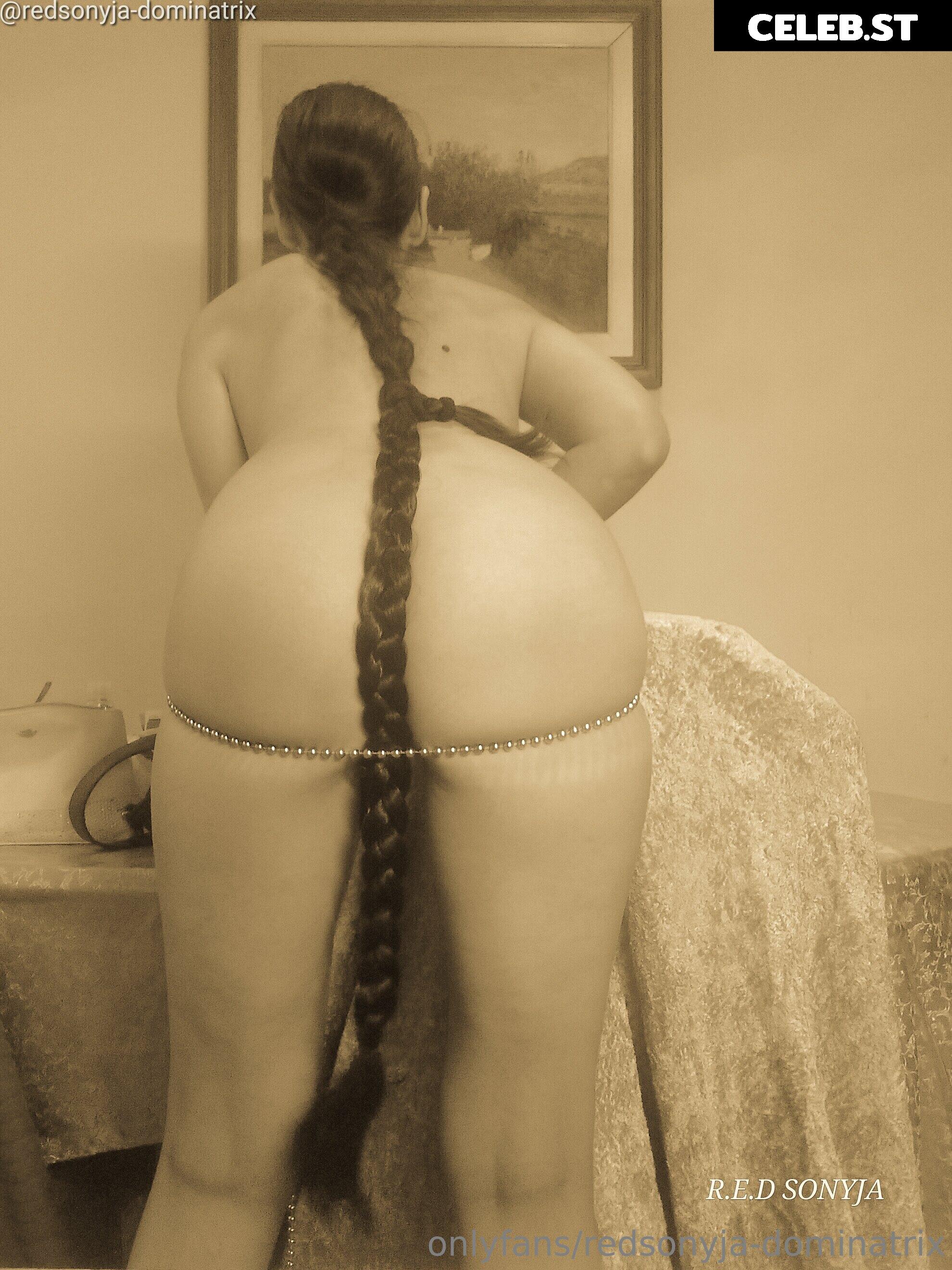 redsonyja-dominatrix Image 22229356