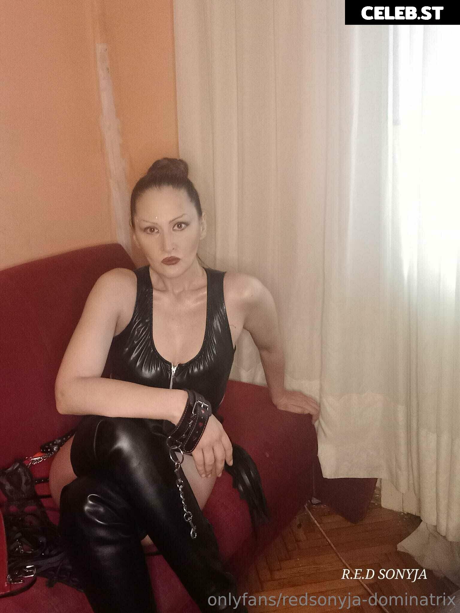 redsonyja-dominatrix Image 22229355