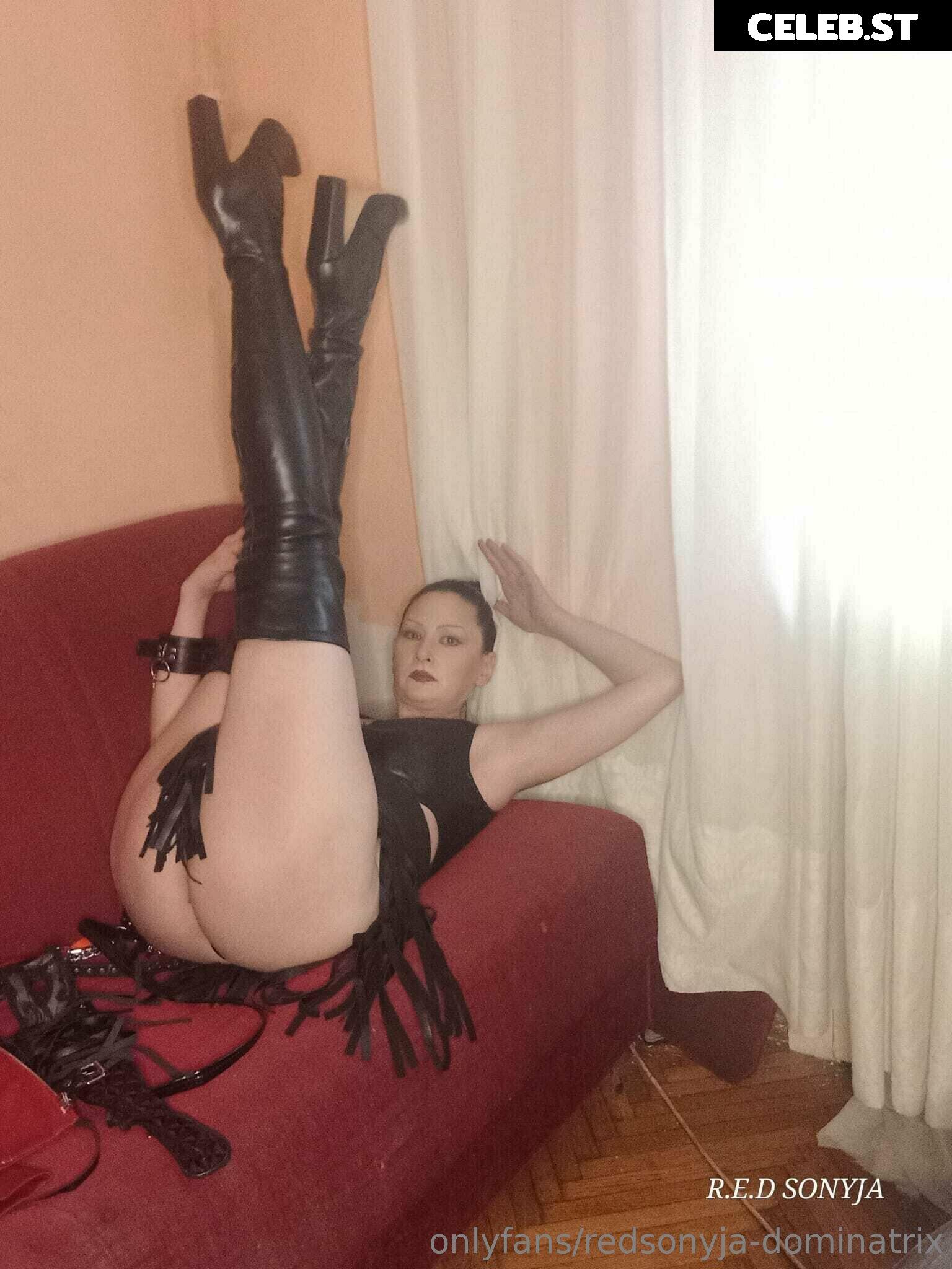 redsonyja-dominatrix Image 22229359