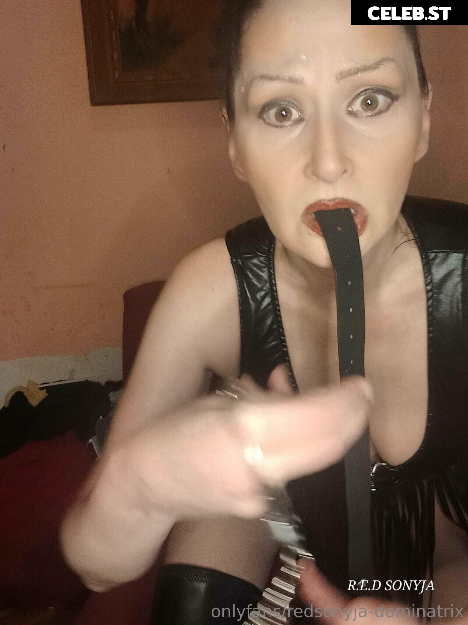 redsonyja-dominatrix Image 22229342