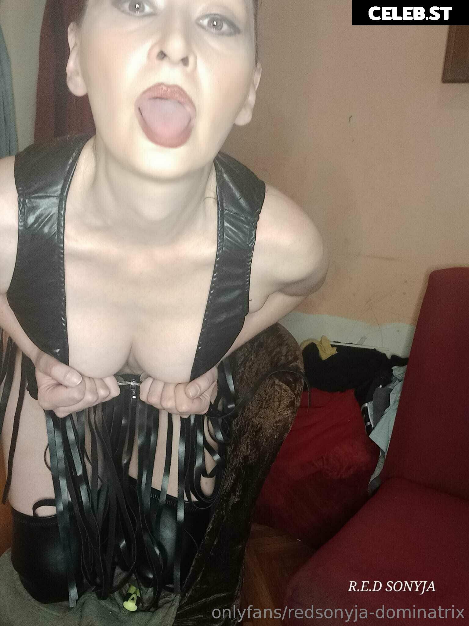 redsonyja-dominatrix Image 22229341
