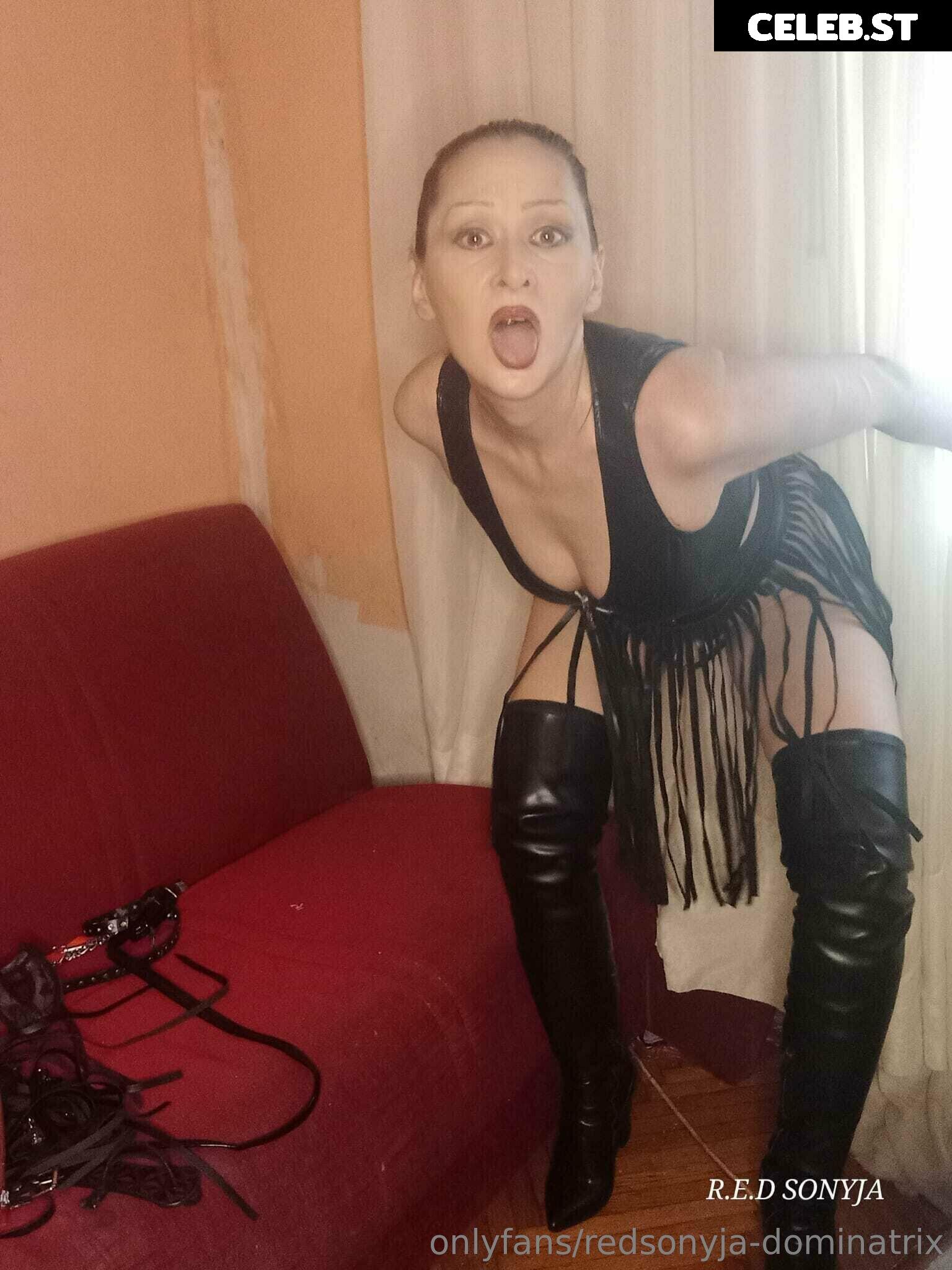 redsonyja-dominatrix Image 22229348