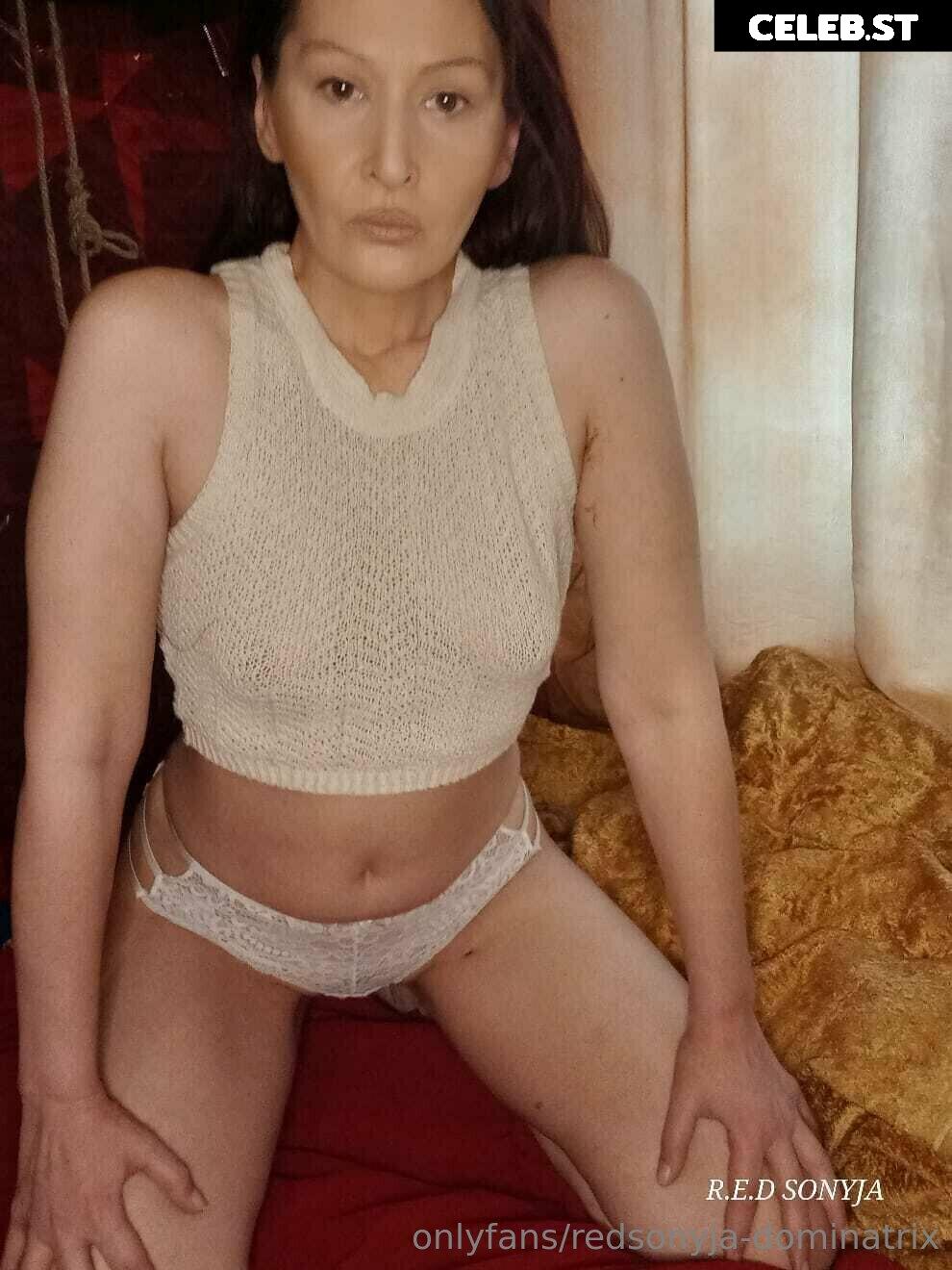 redsonyja-dominatrix Image 22229373