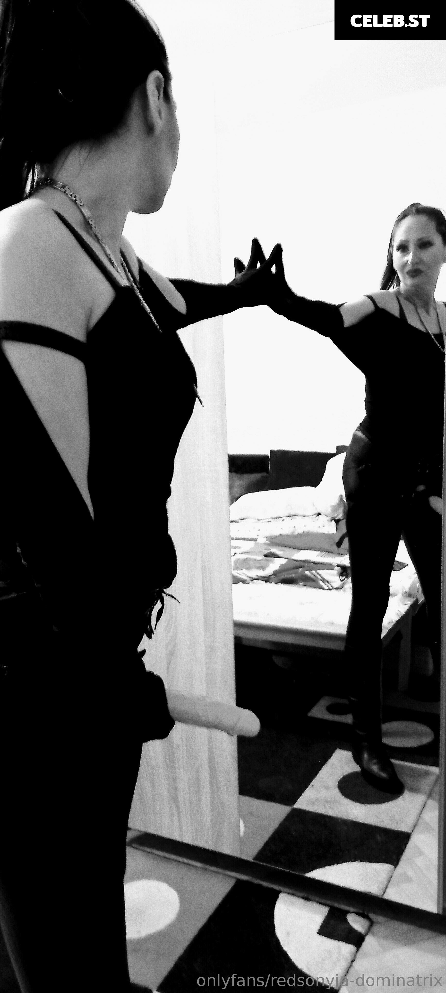 redsonyja-dominatrix Image 22229372