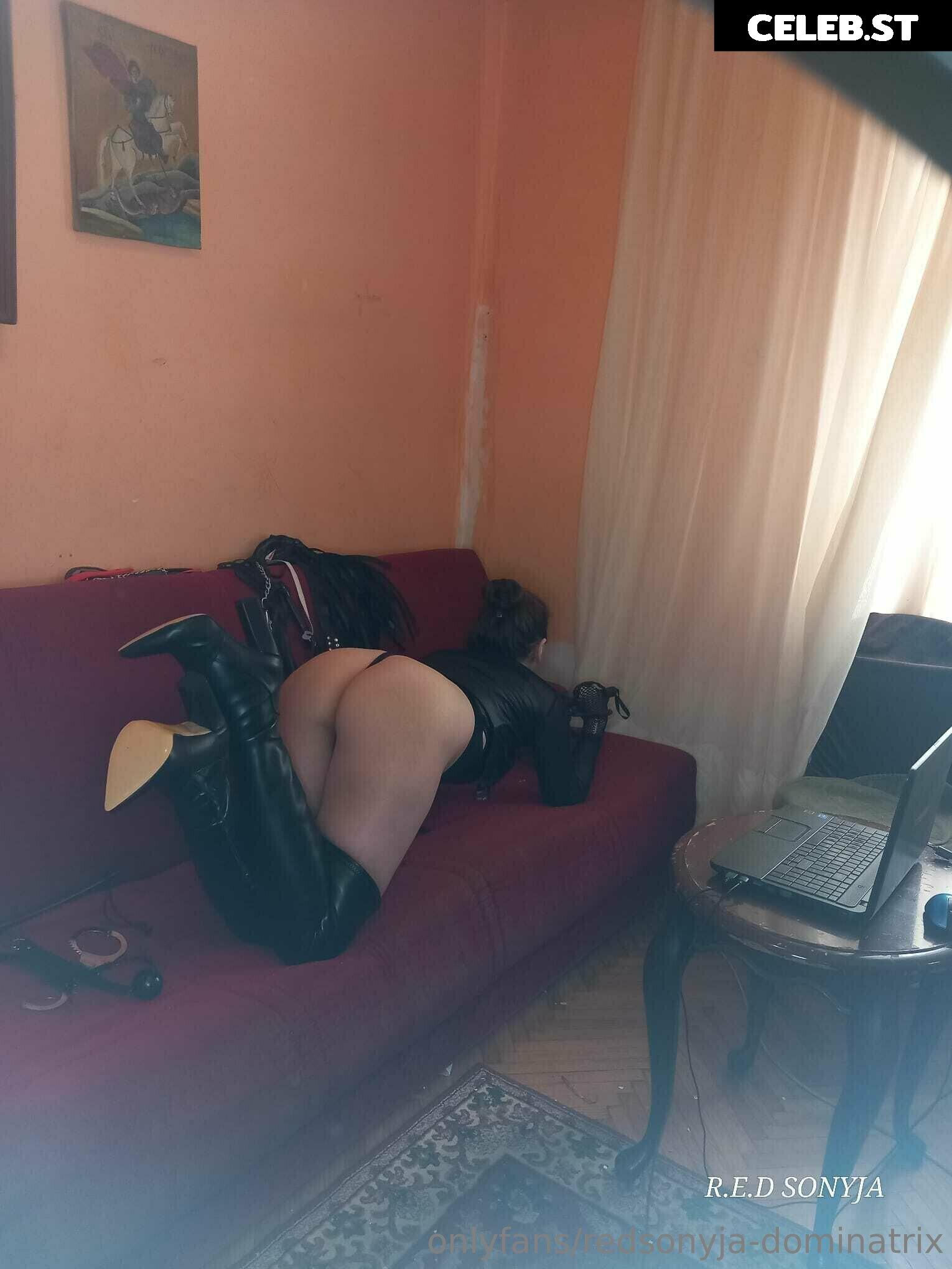 redsonyja-dominatrix Image 22229295