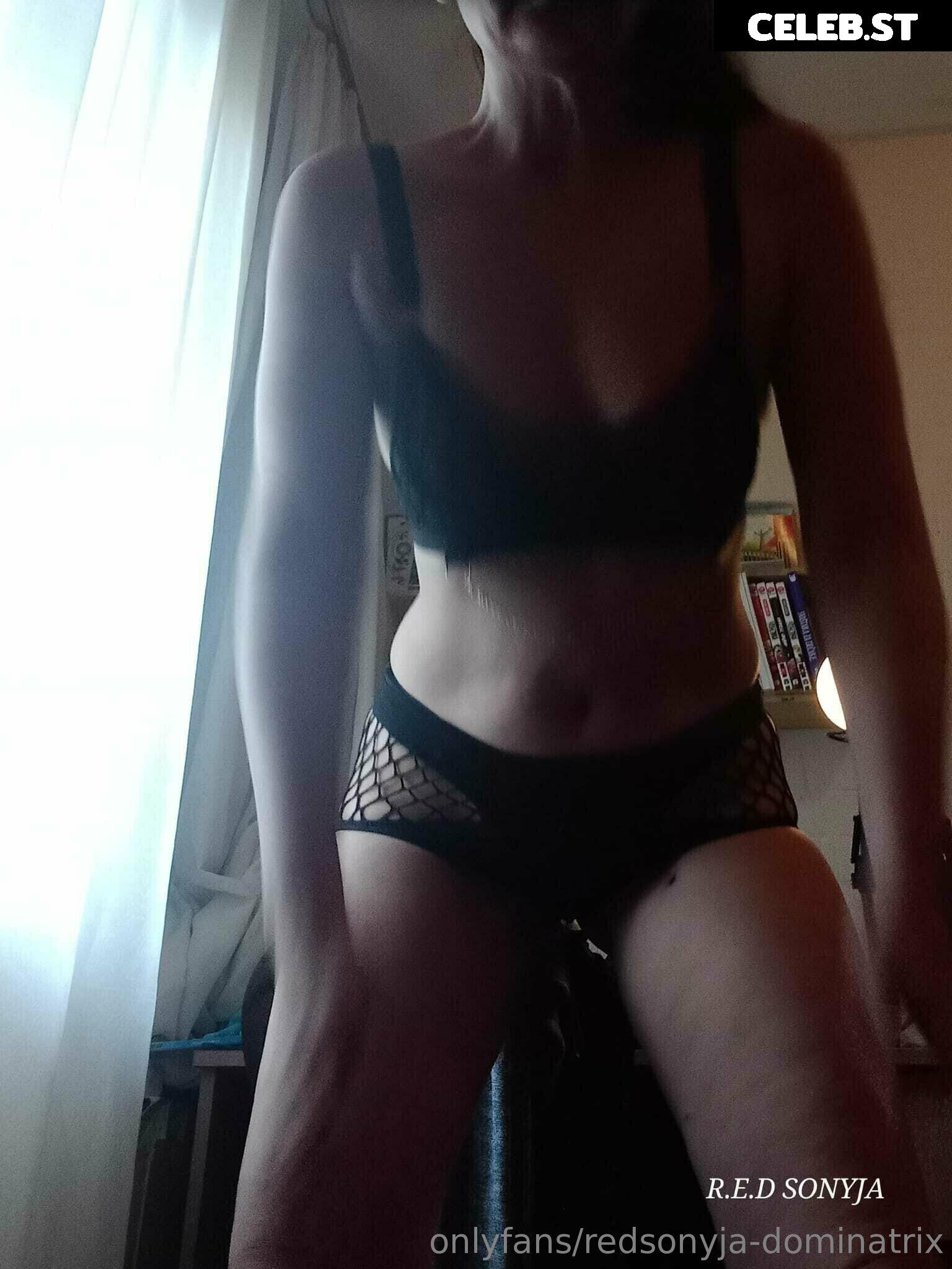 redsonyja-dominatrix Image 22229286