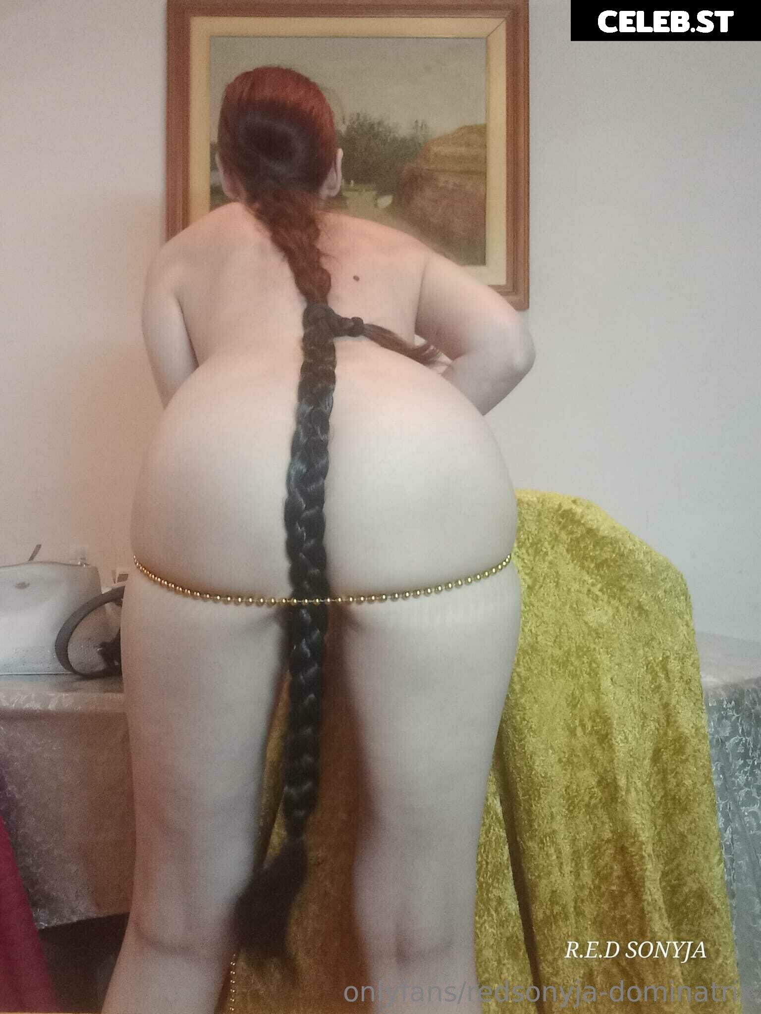 redsonyja-dominatrix Image 22229233