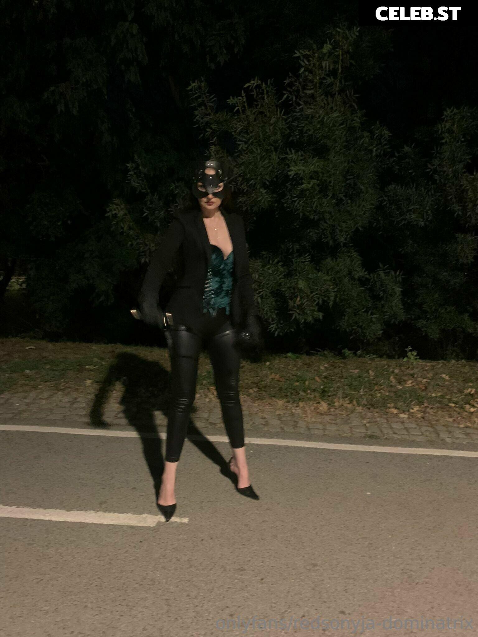 redsonyja-dominatrix Image 22229239