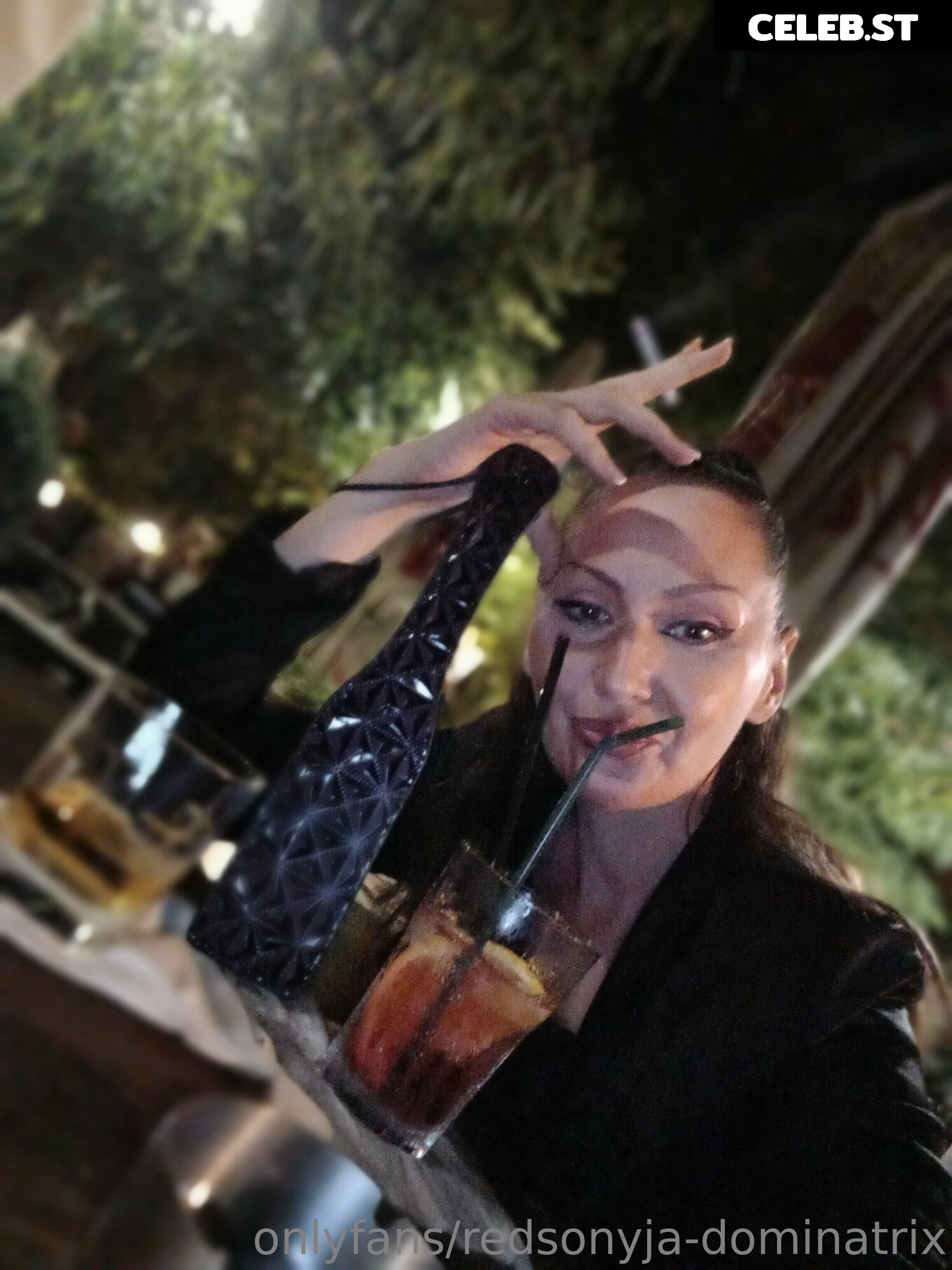 redsonyja-dominatrix Image 22229260