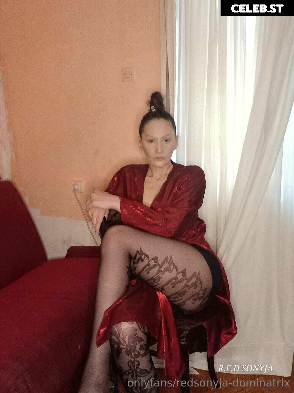 redsonyja-dominatrix Image 22229268